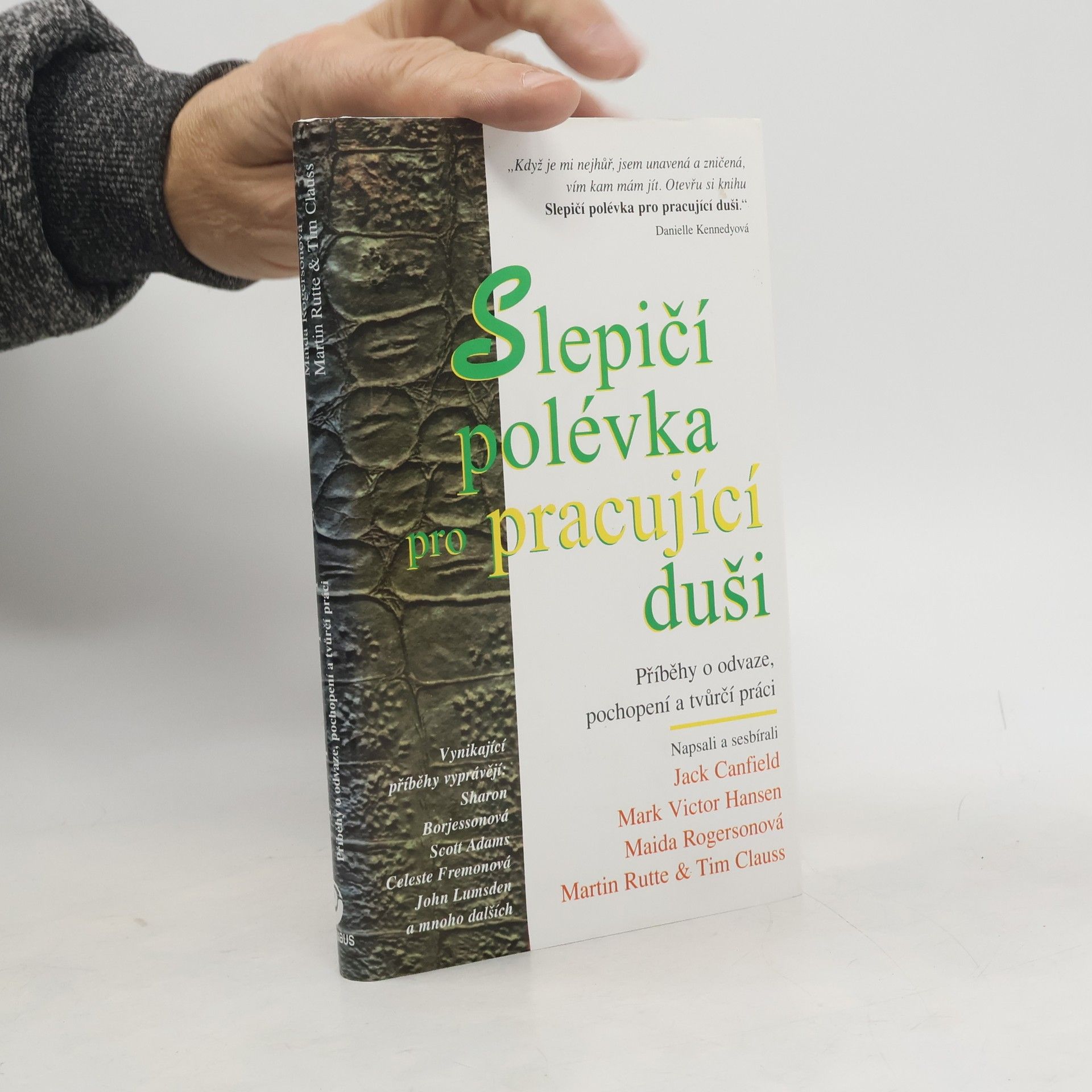 Autorenkollektiv Slepičí polévka pro pracující duši: Příběhy o odvaze, pochopení a tvůrčí práci