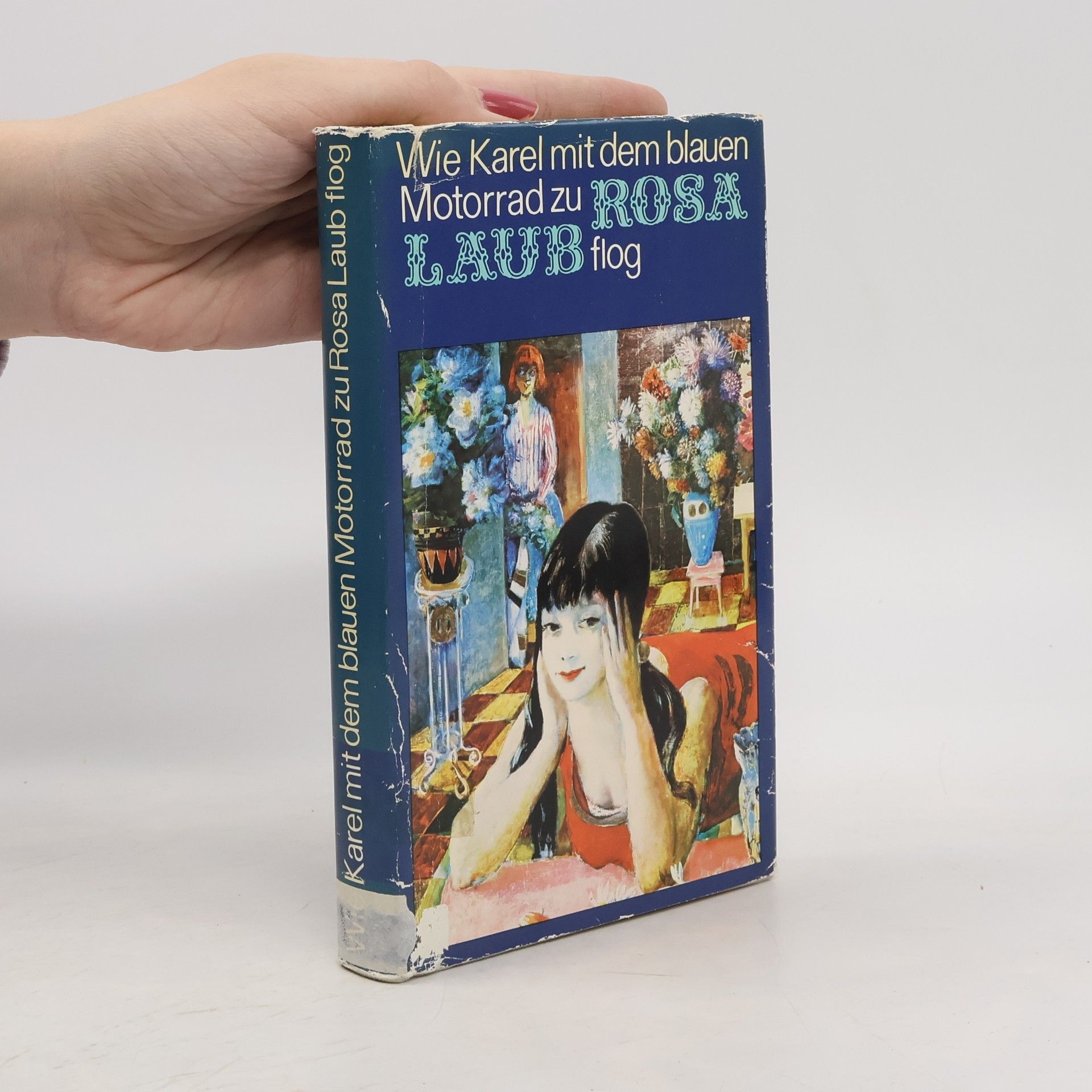 Autorenkollektiv Wie Karel mit dem blauen Motorrad zu Rosa Laub flog