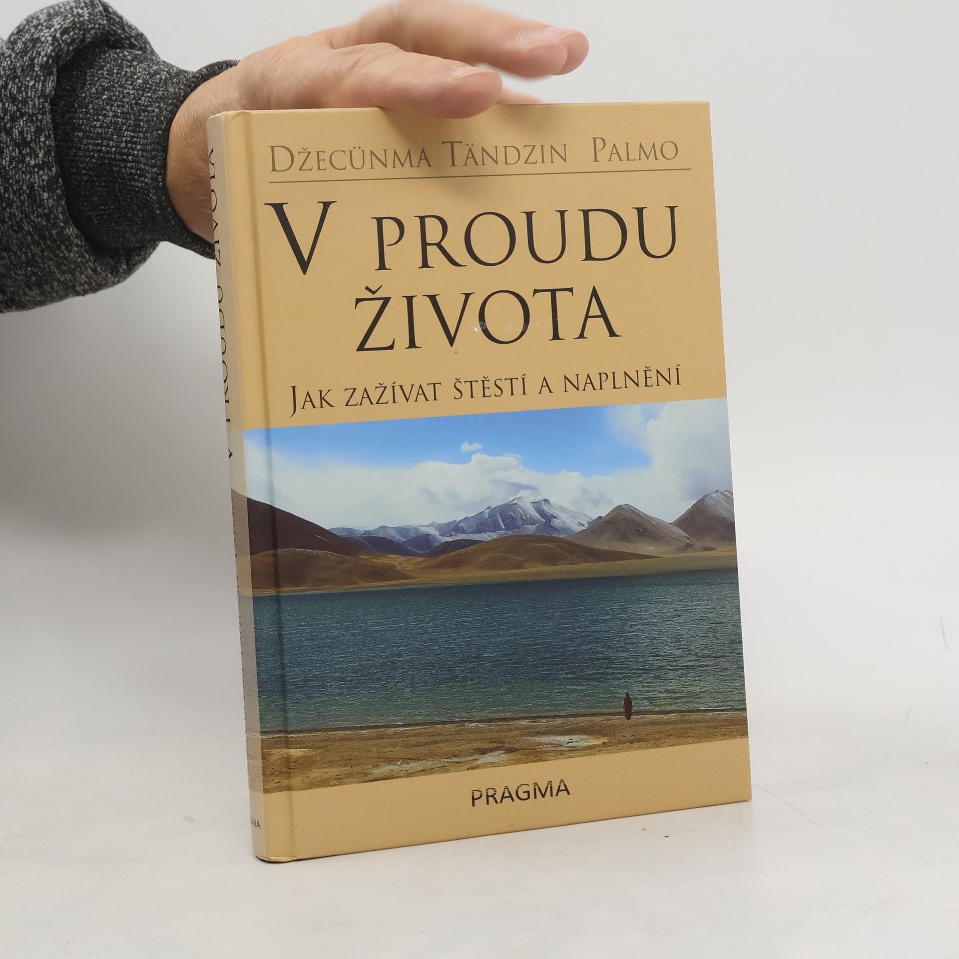 Palmo Tenzin V proudu života. Jak zažívat štěstí a naplnění