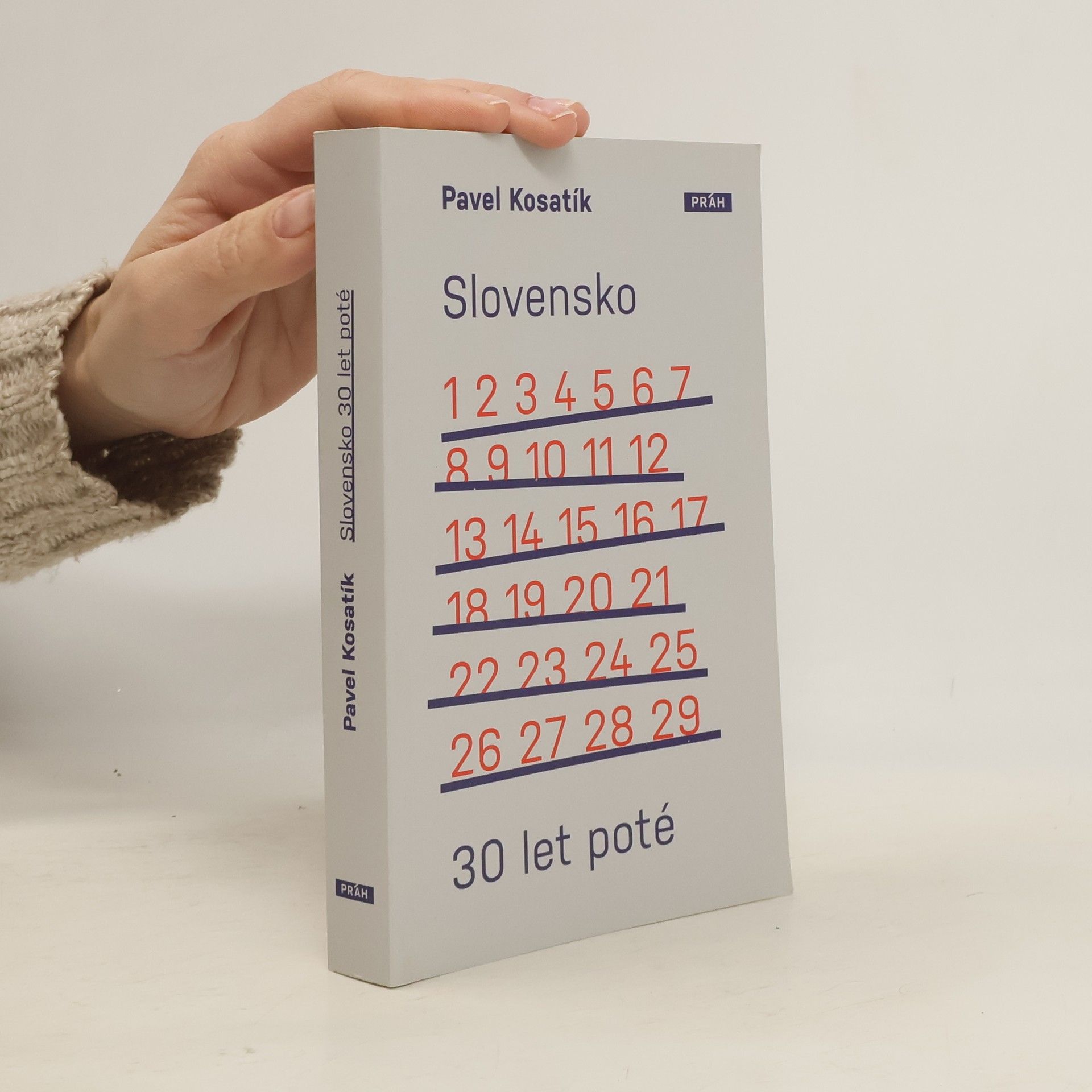 Slovensko třicet let poté