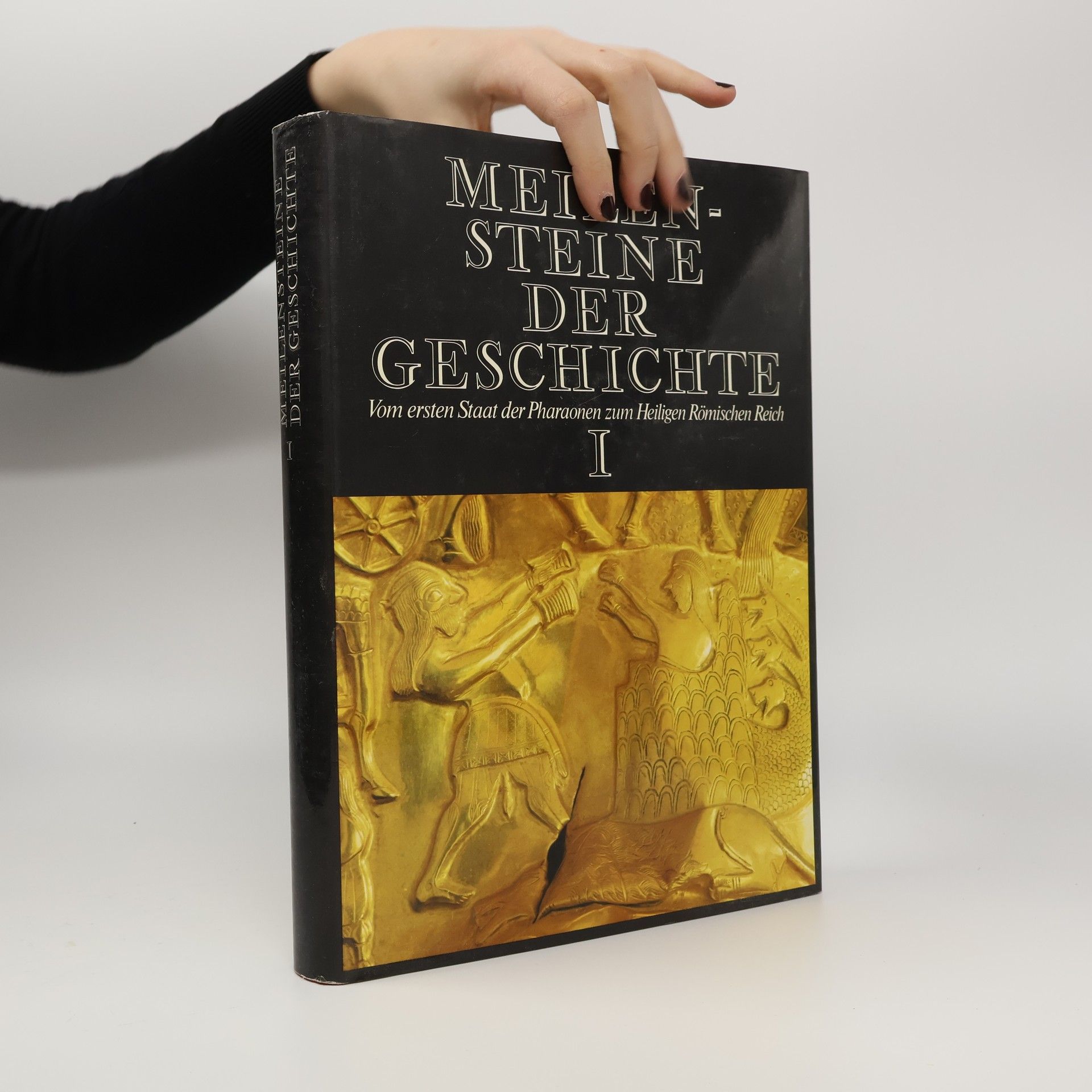 Kolektiv autorů Meilensteine der Geschichte I