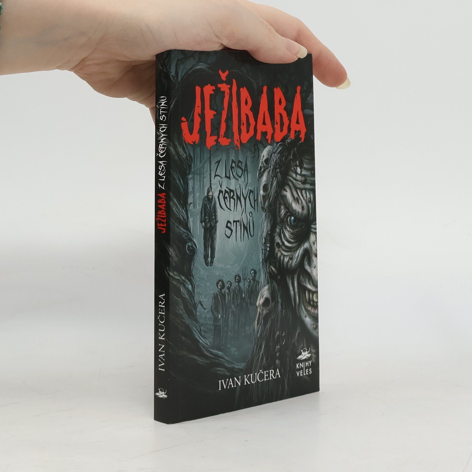 Ježibaba z Lesa černých stínů