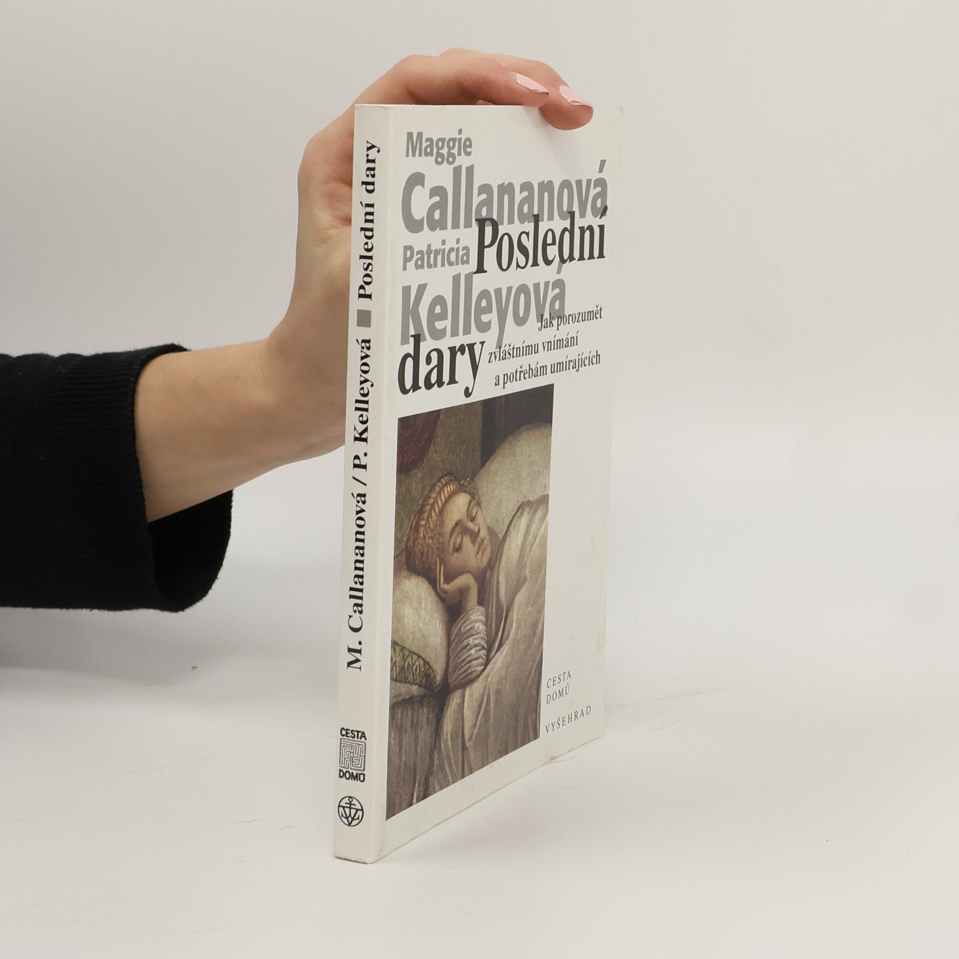 Poslední dary - Jak porozumět zvláštnímu vnímání a potřebám umírajících