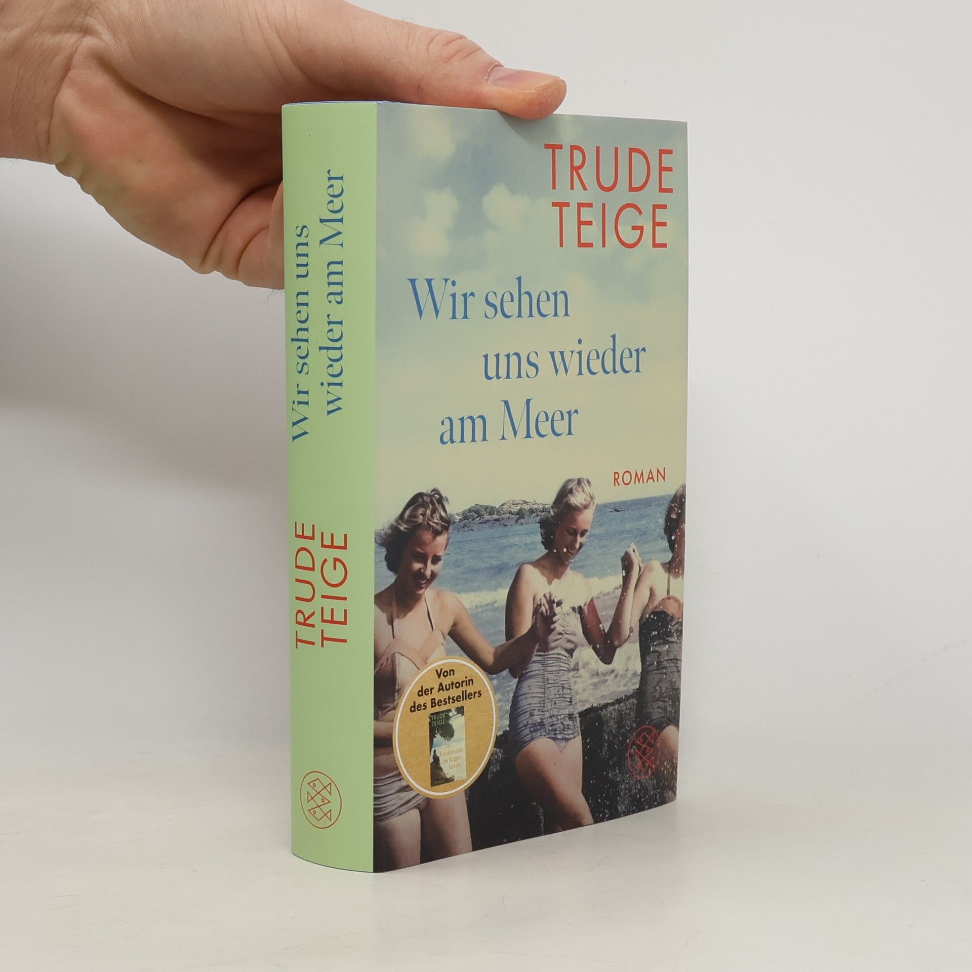 Trude Teige Wir sehen uns wieder am Meer