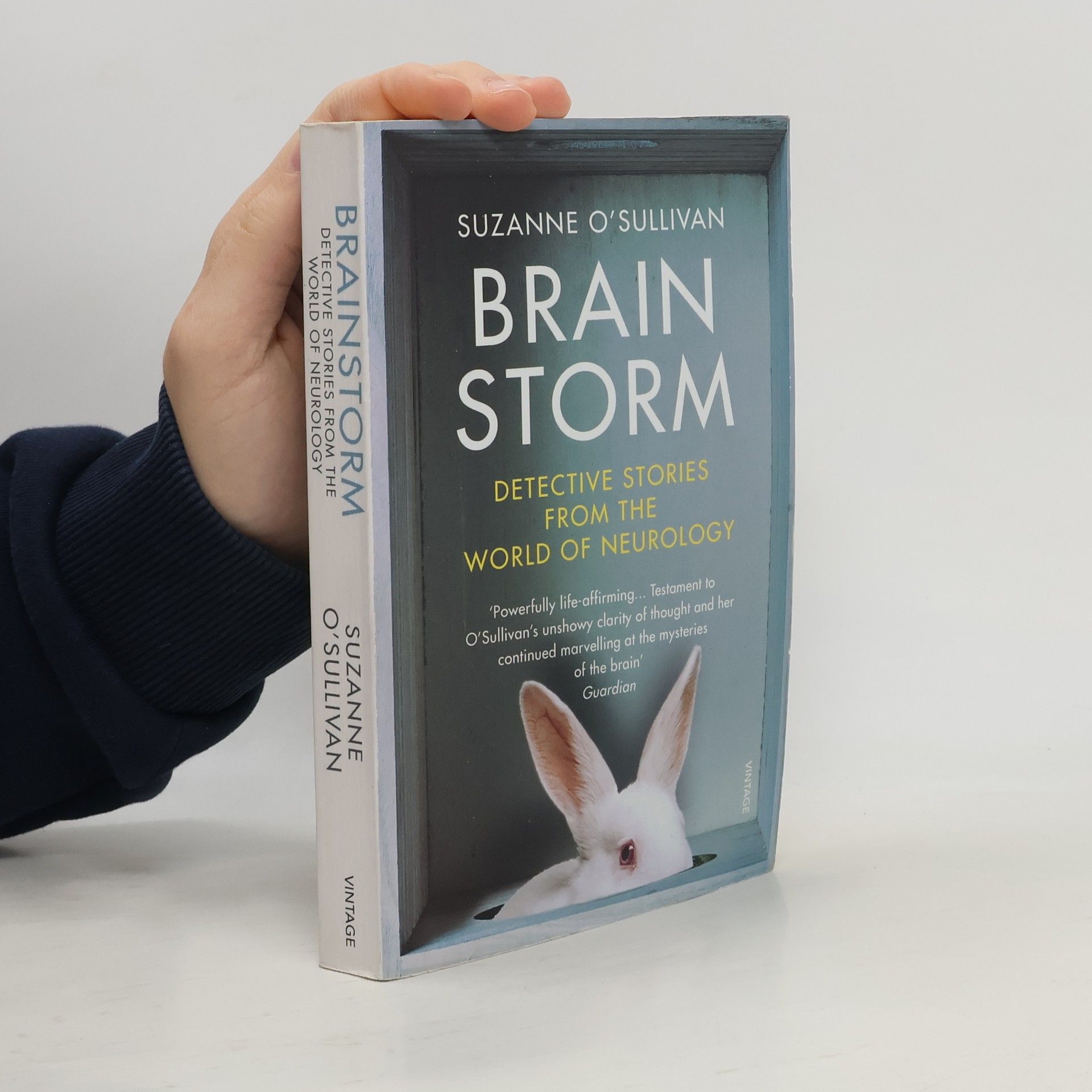 Suzanne O. Sullivan Brainstorm