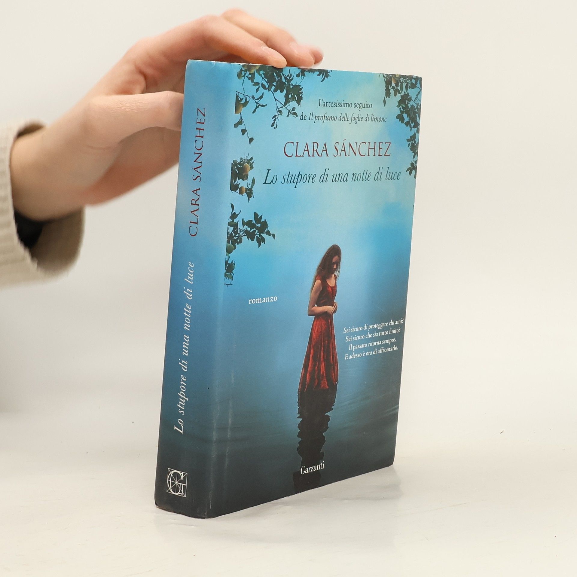 Enrica Budeta Lo stupore di una notte di luce