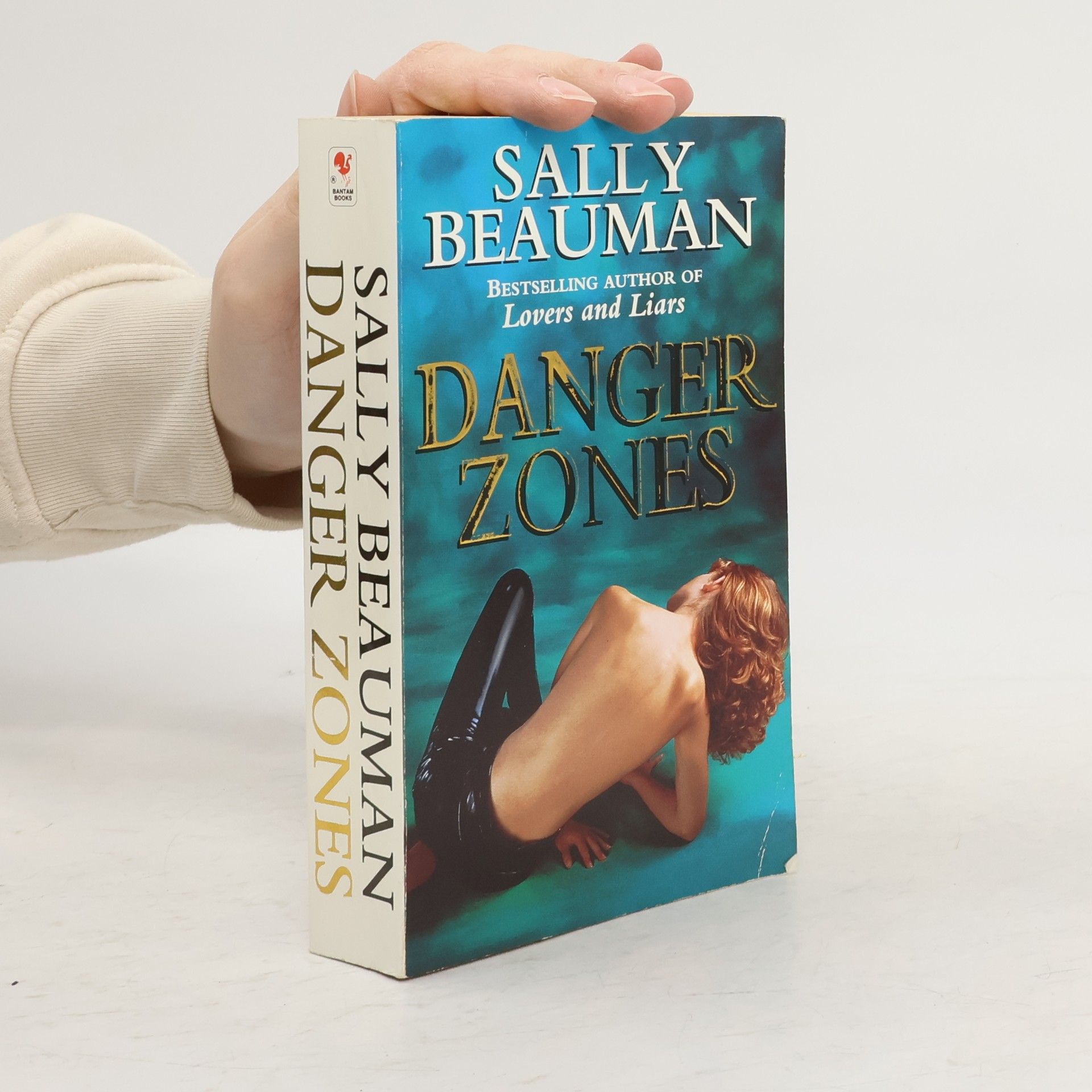 Sally Beauman Danger Zones
