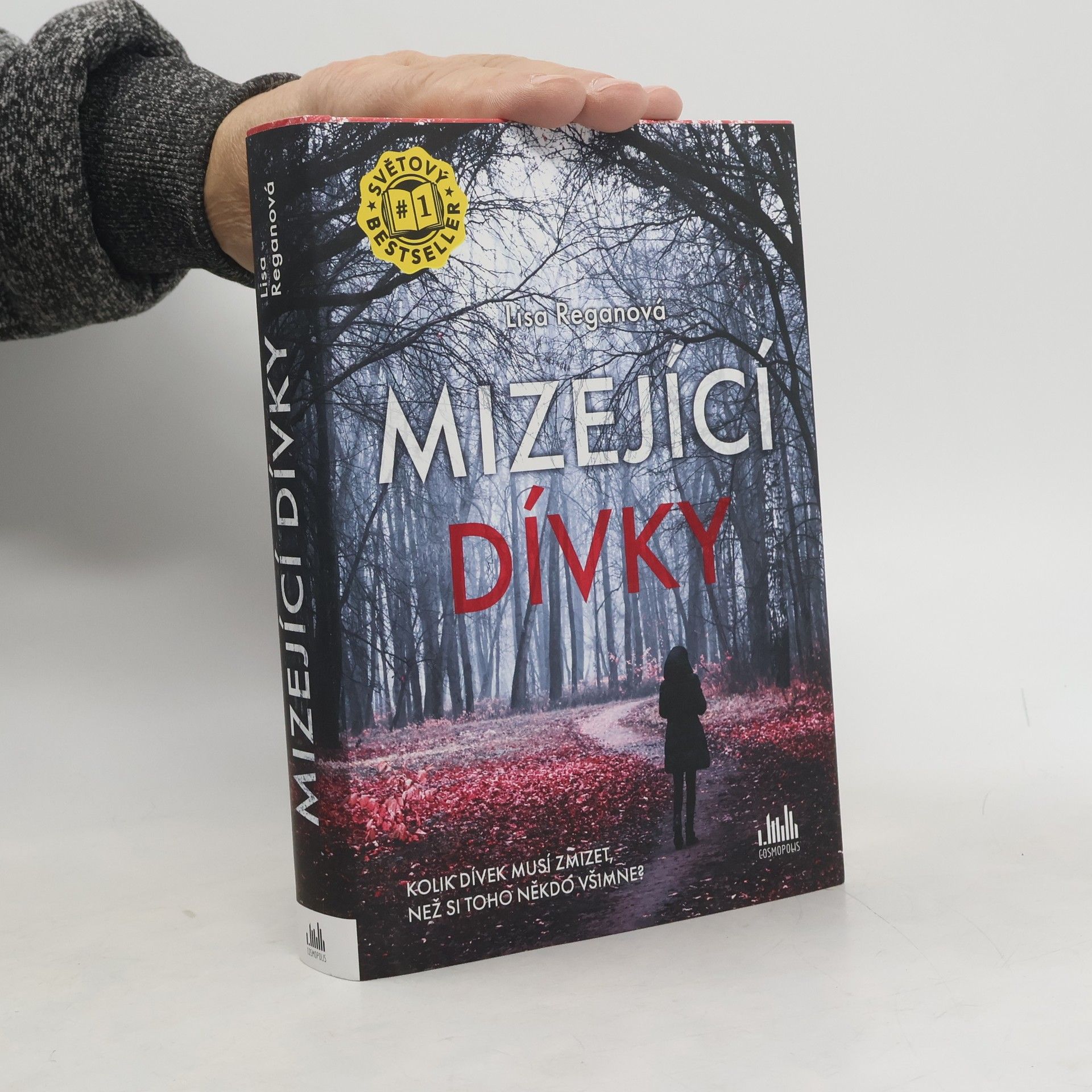 Lisa Regan Mizející dívky