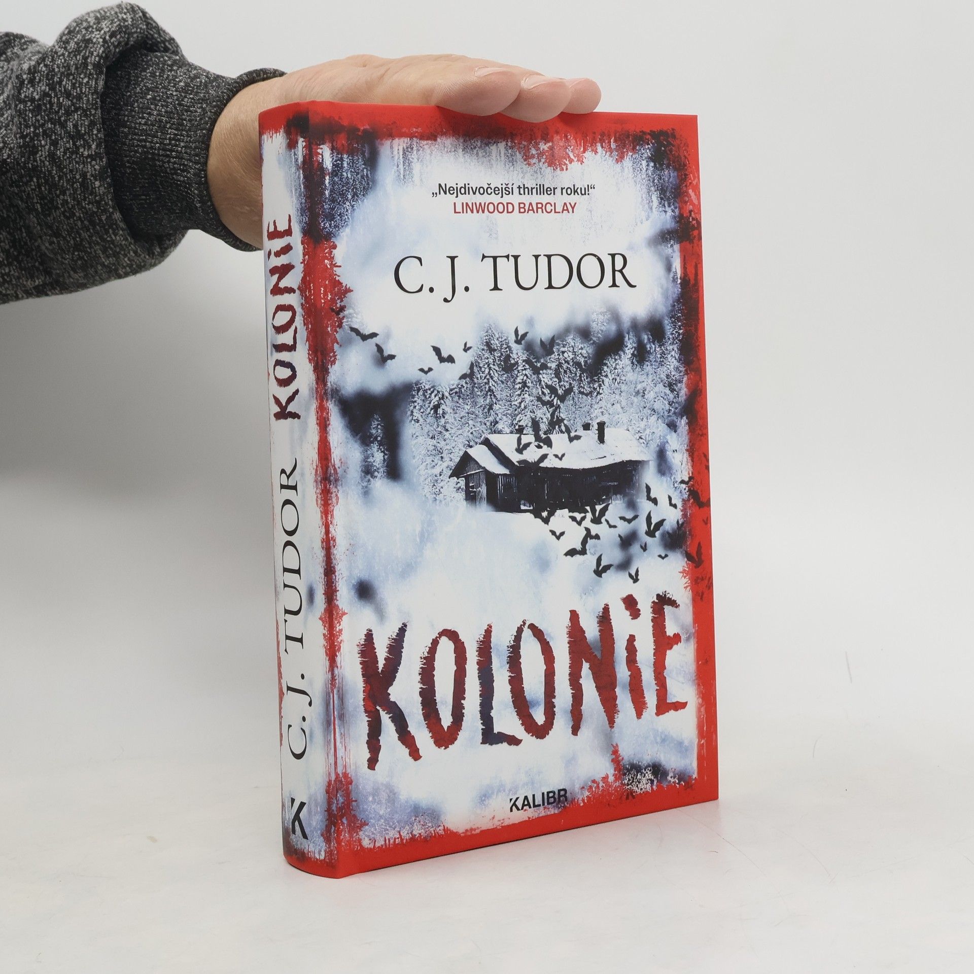 Kolonie
