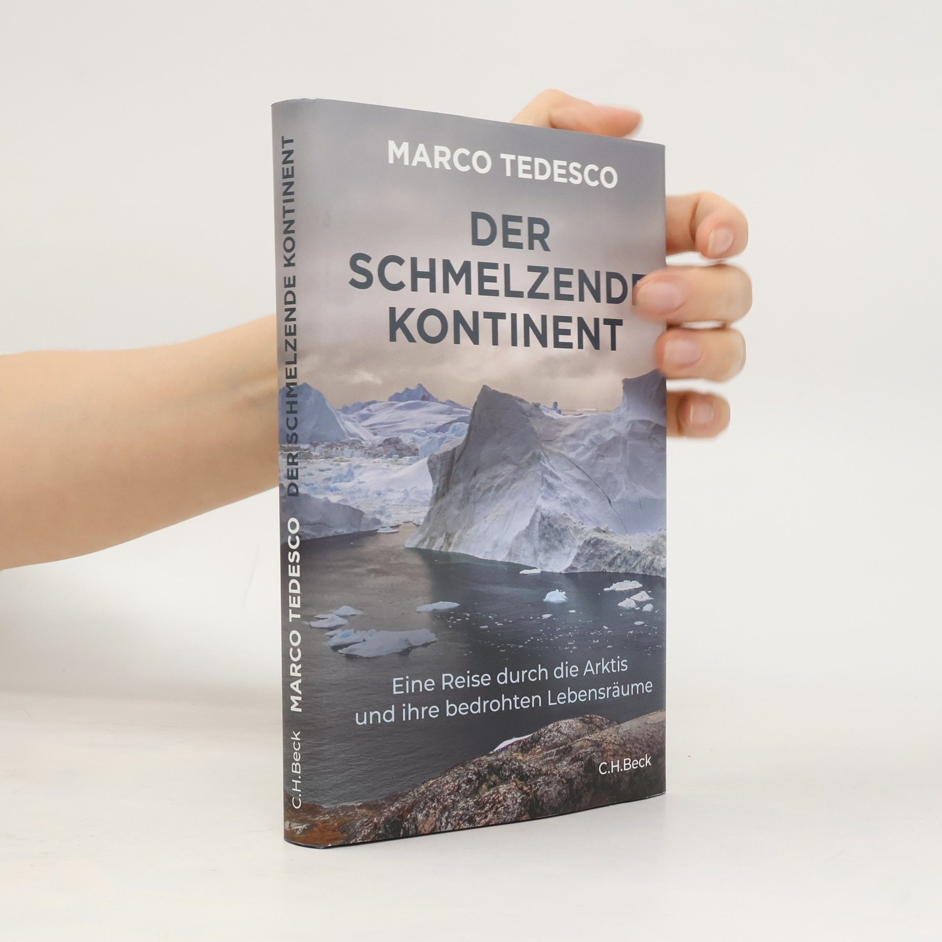 Der schmelzende Kontinent