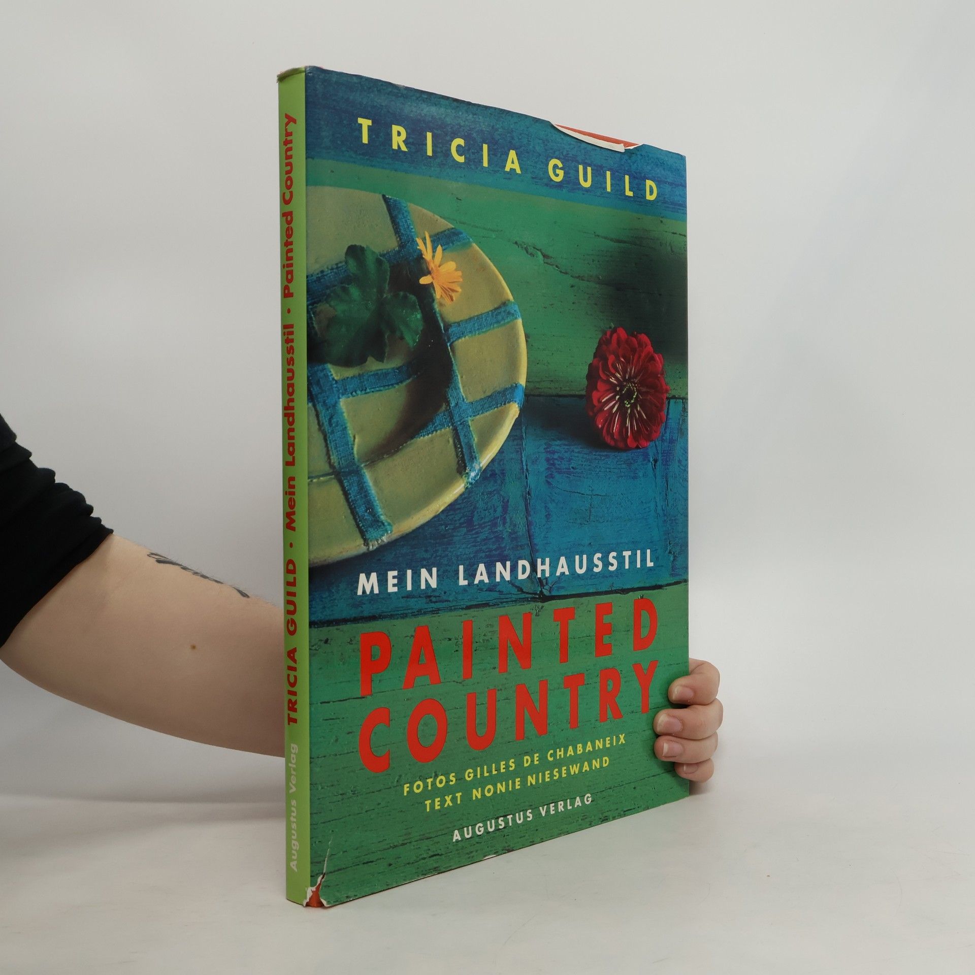 Tricia Guild Painted country