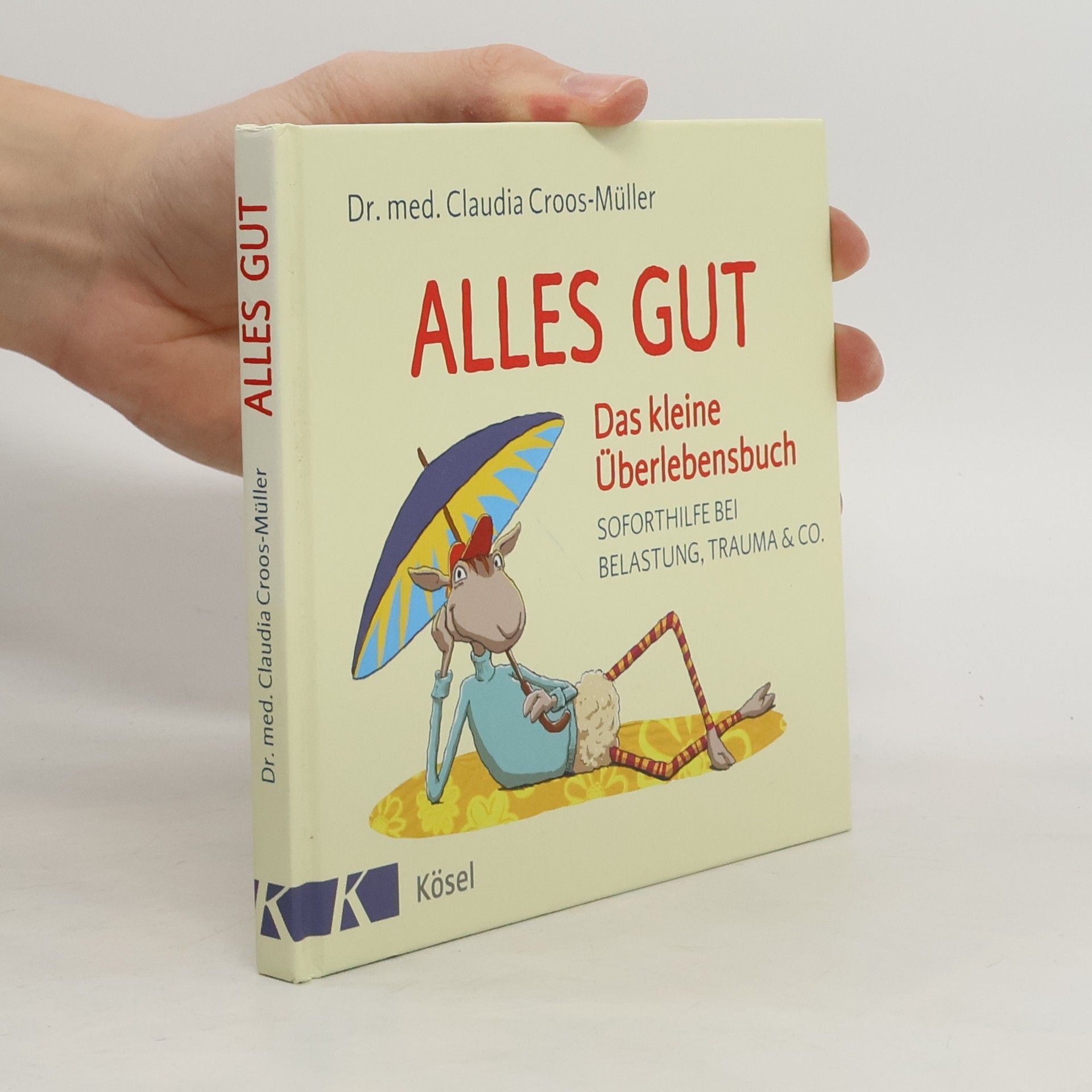 Alles gut - das kleine Überlebensbuch