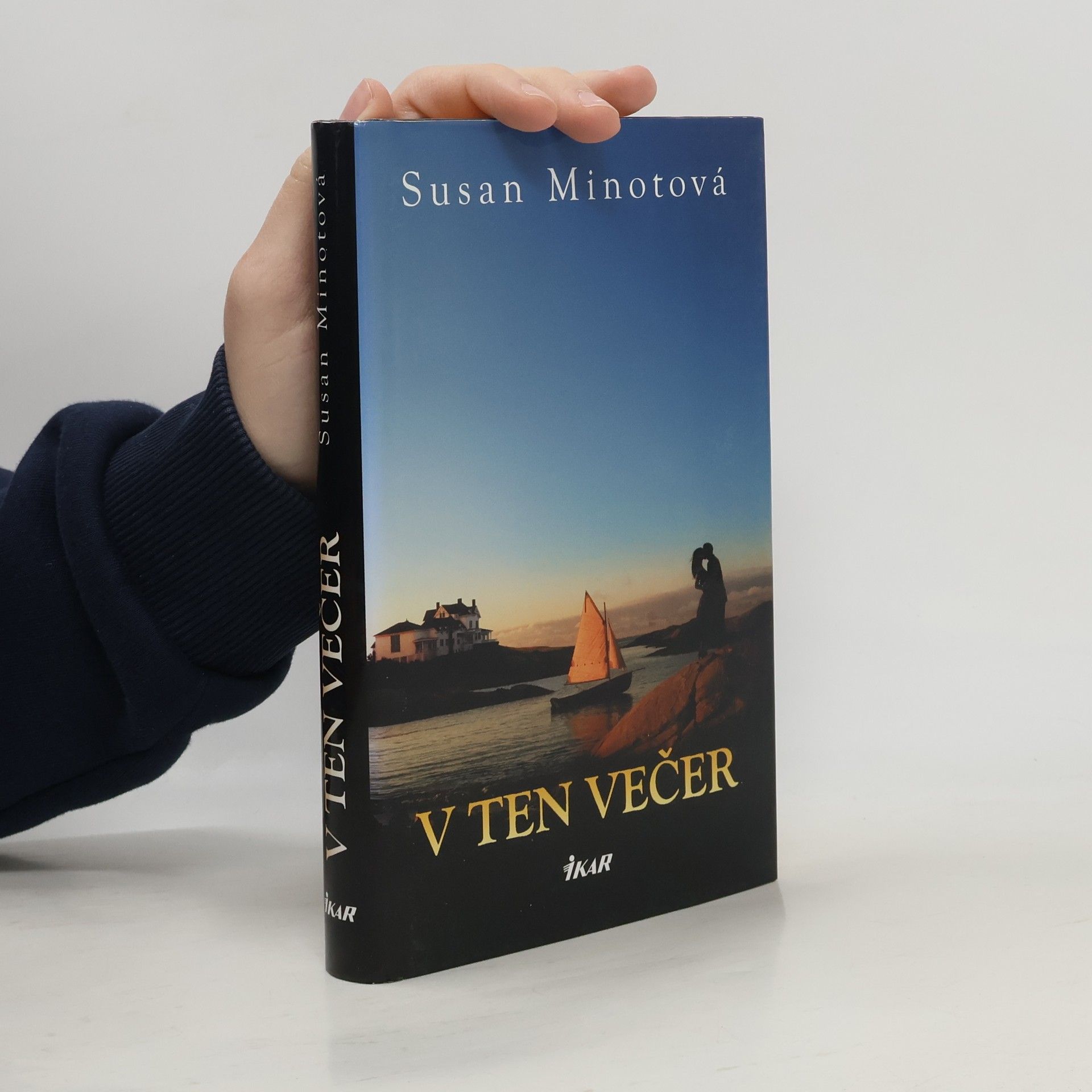 Susan Minot V ten večer