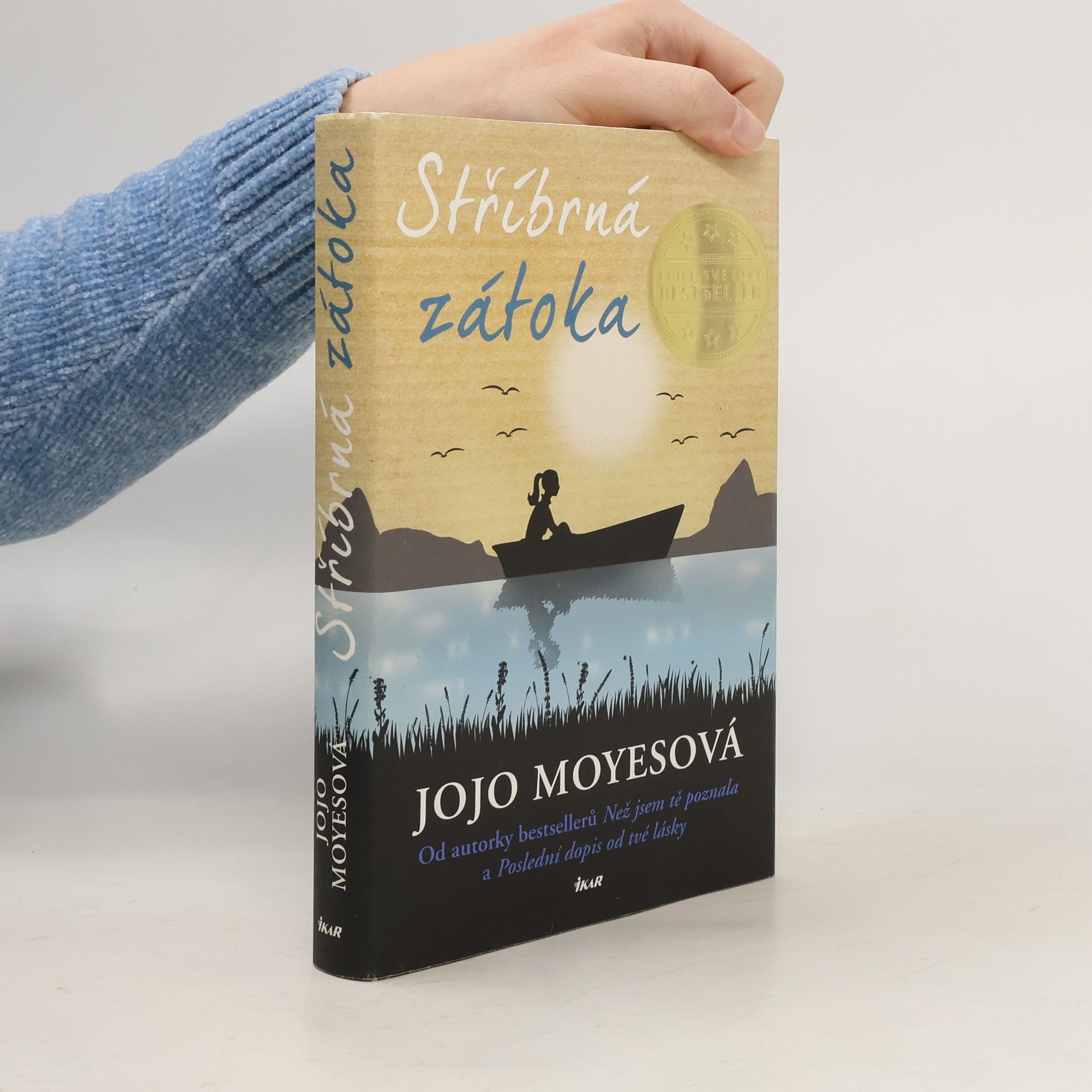 Jojo Moyesová Stříbrná zátoka