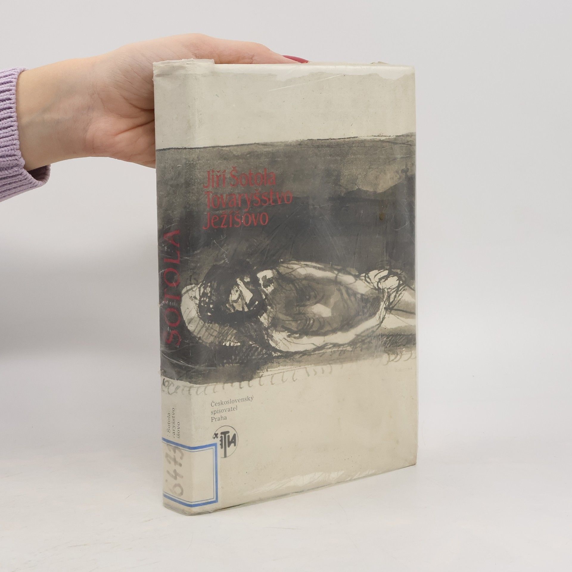 Tovaryšstvo Ježíšovo