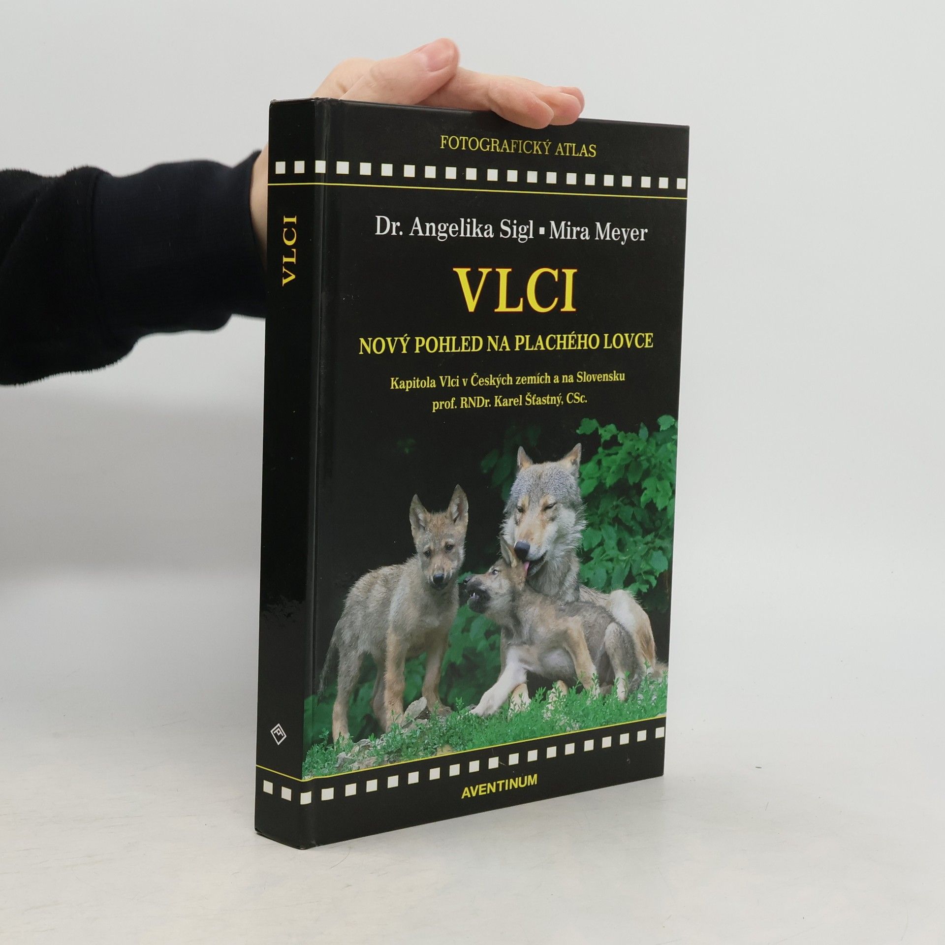 Vlci. Nový pohled na plachého lovce