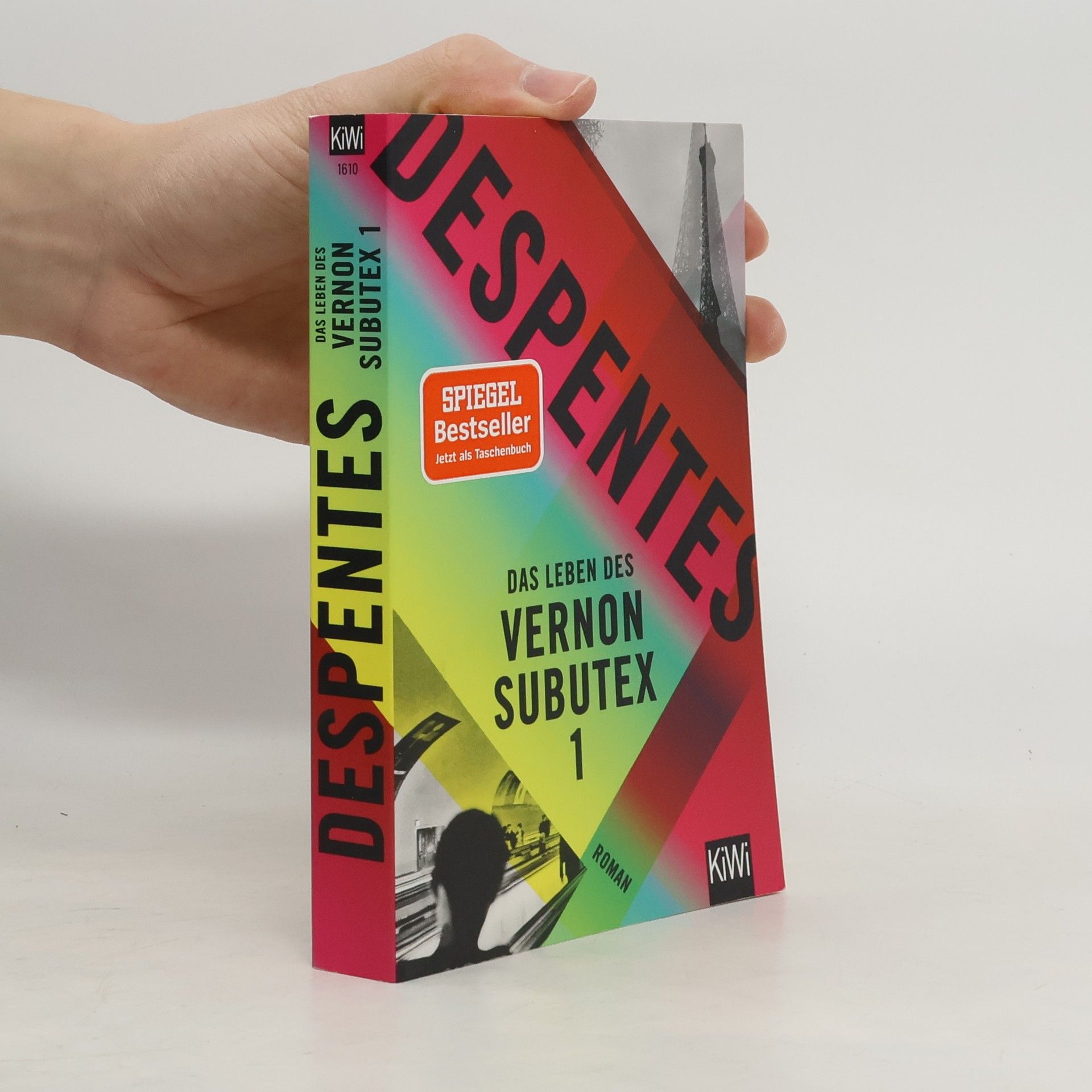 Virginie Despentes Das Leben des Vernon Subutex 1