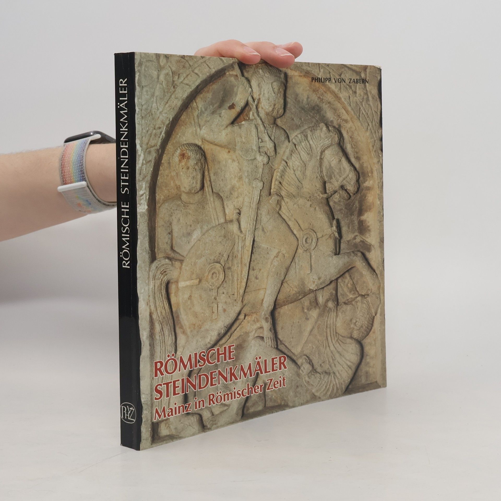 Auteurscollectief Römische Steindenkmäler