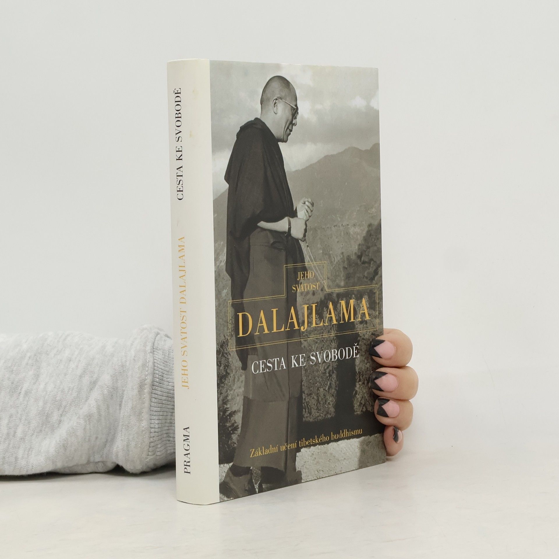 Irena Janovcová Cesta ke svobodě