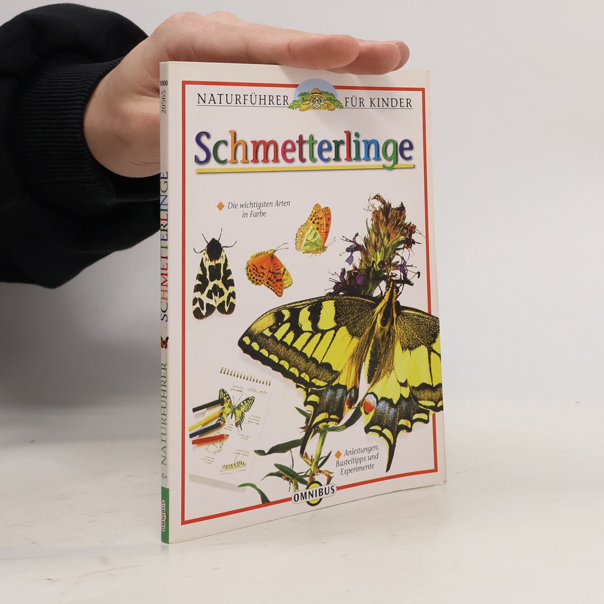 John Feltwell Naturführer für Kinder: Schmetterlinge