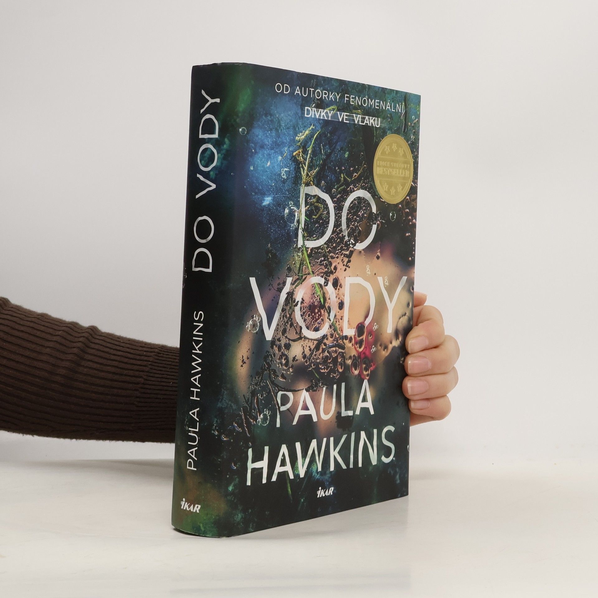 Paula Hawkins Do vody