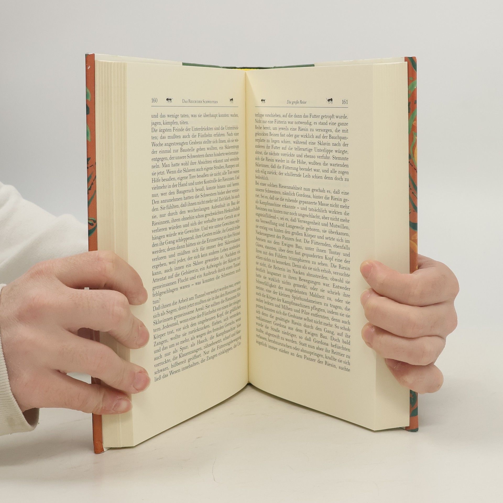 Meino Naumann Das Reich der Schwestern. Roman eines Ameisenvolkes.