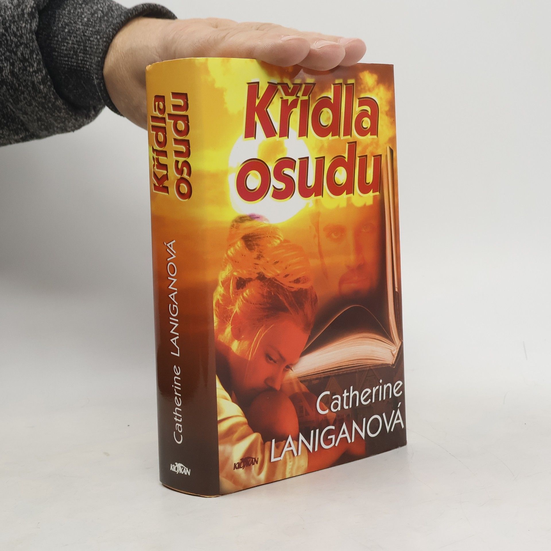 Catherine Lanigan Křídla osudu