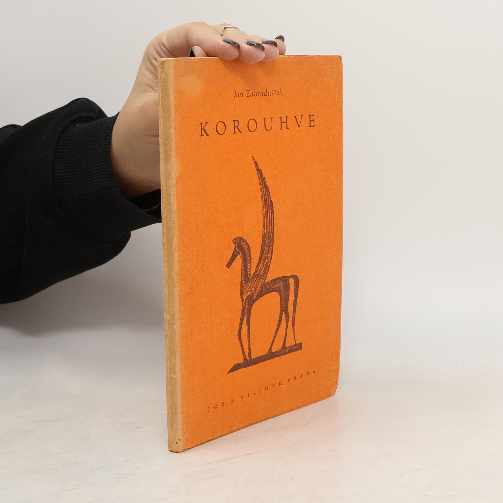 Jan Zahradníček Korouhve