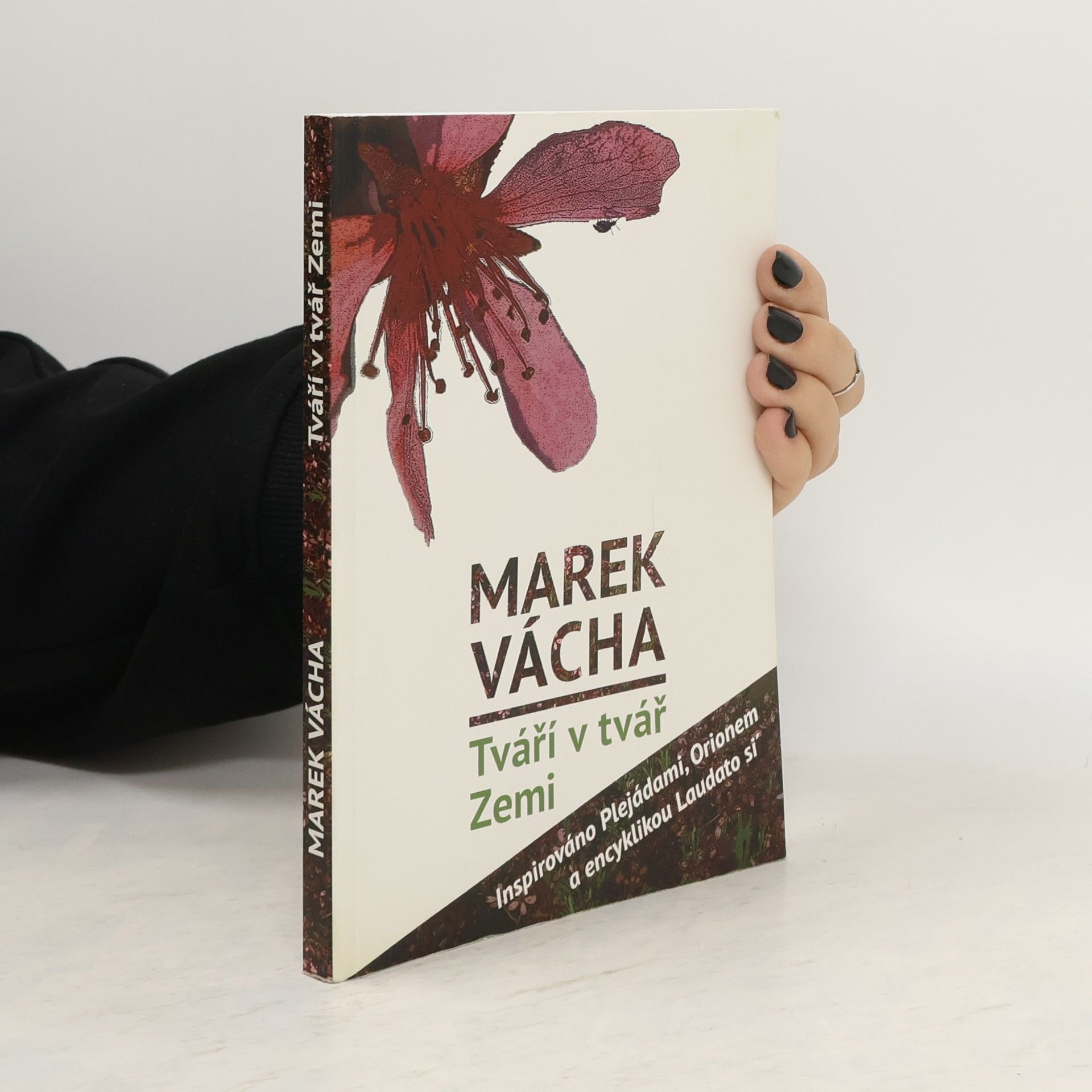 Marek Vácha Tváří v tvář Zemi