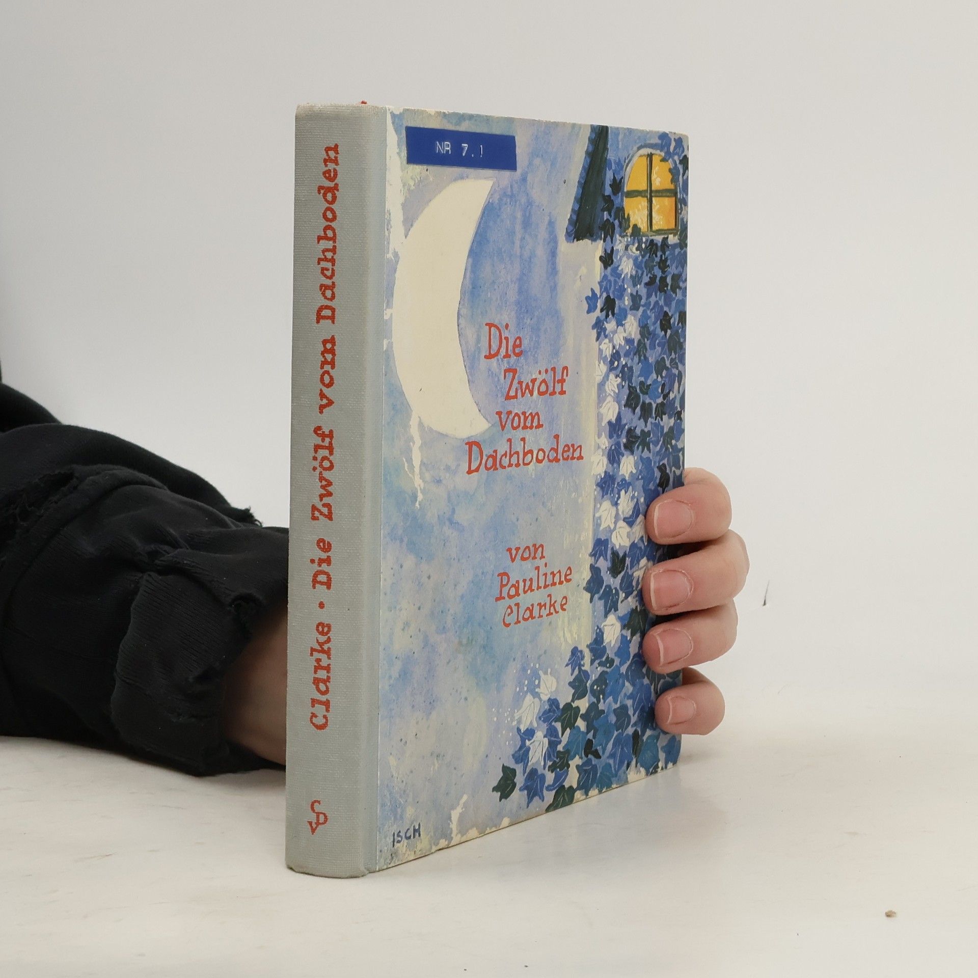 Pauline Clarke Die Zwölf vom Dachboden