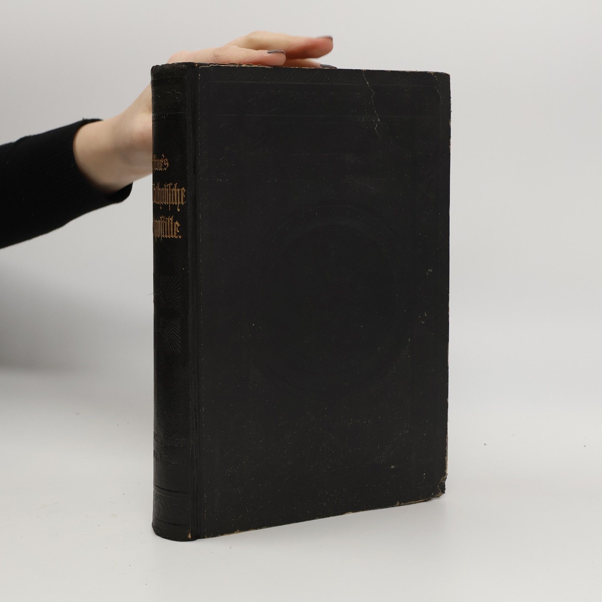 AA.VV. Christkatholische Handpostille