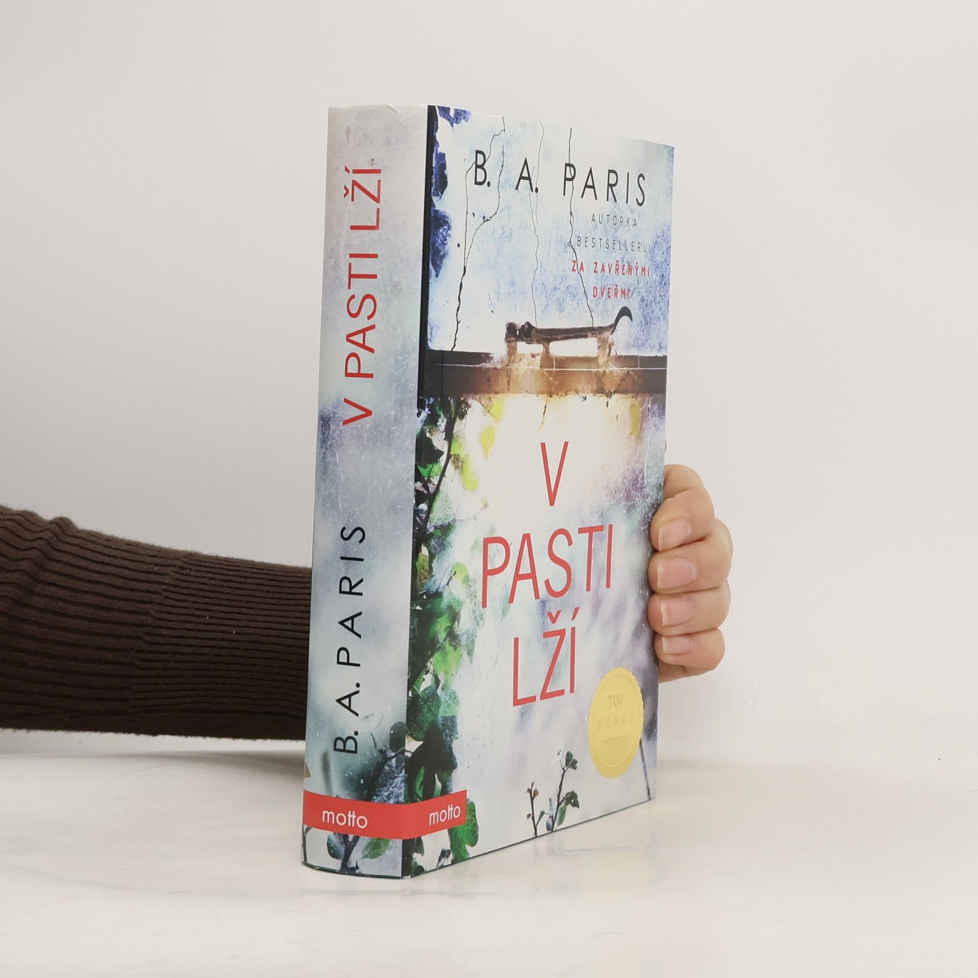 B.A. Paris V pasti lží