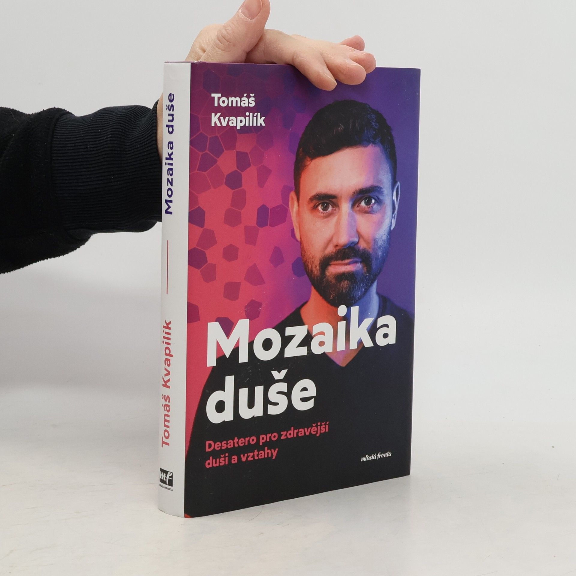 Tomáš Kvapilík Mozaika duše : desatero pro zdravější duši a vztahy