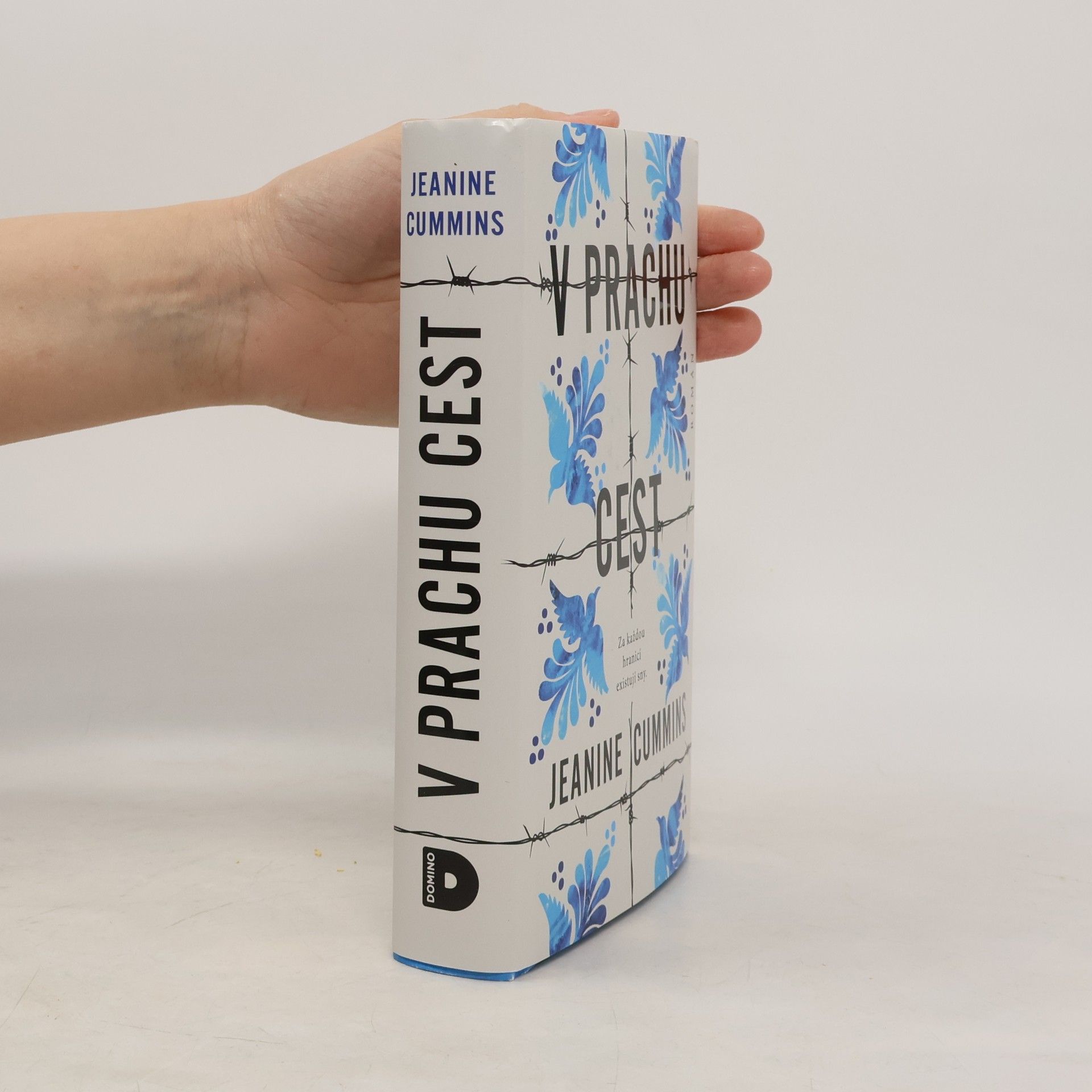 Jeanine Cummins V prachu cest