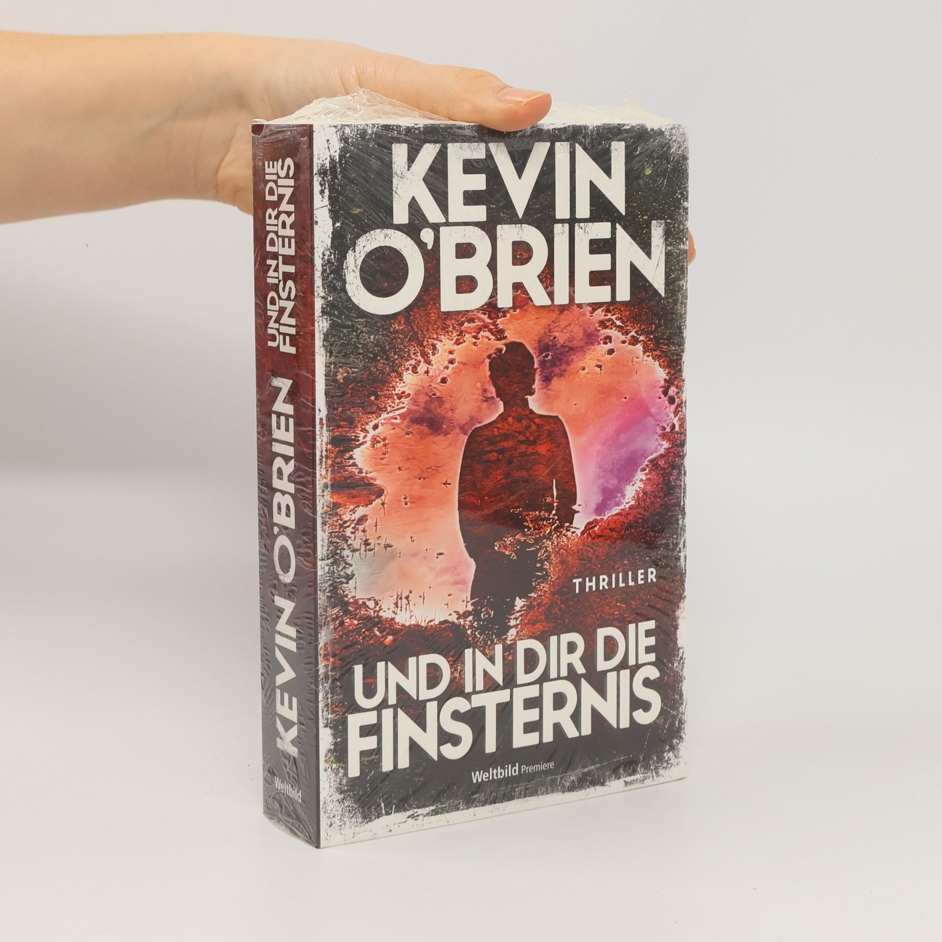 Kevin O. Brien Und in dir die Finsternis