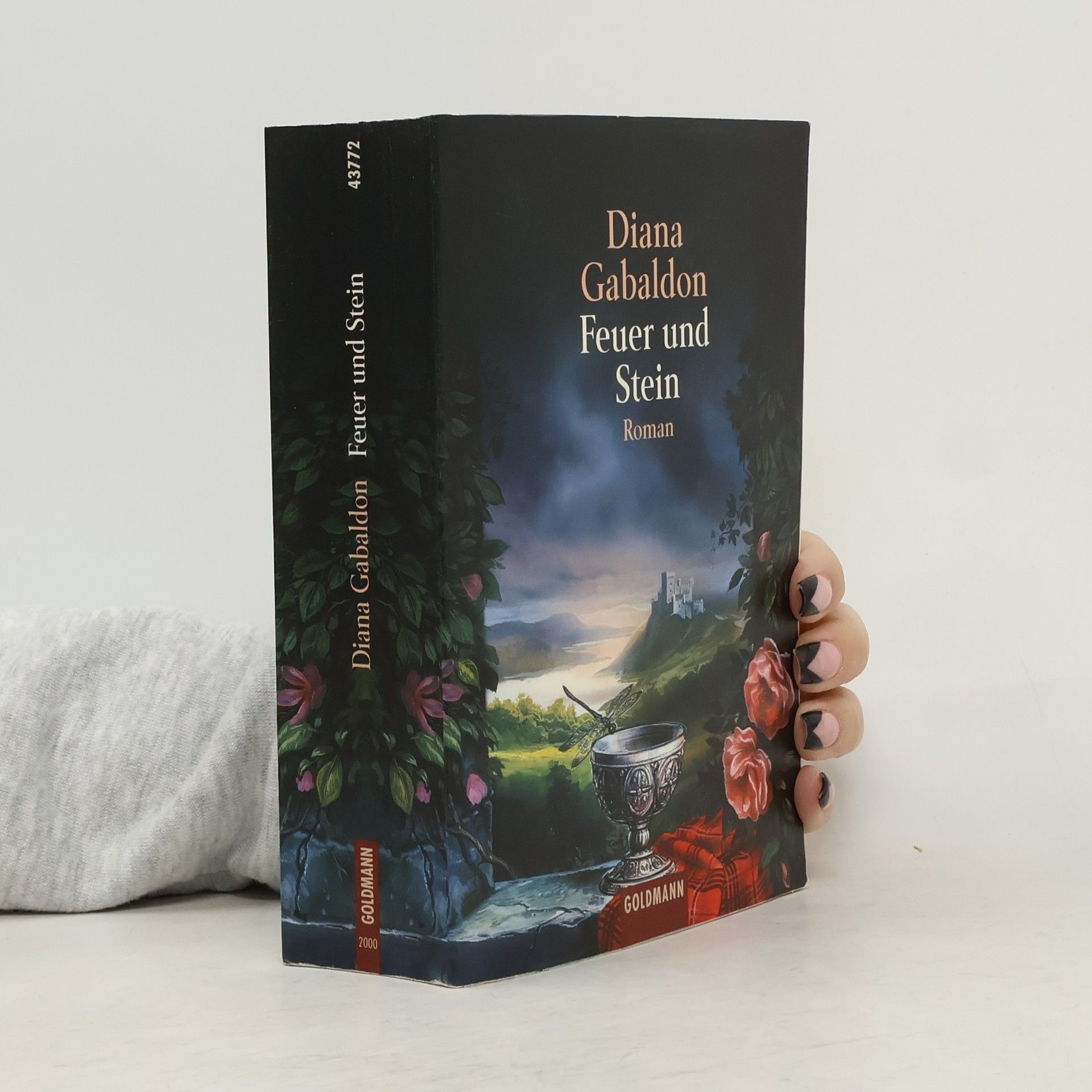 Diana Gabaldon Feuer und Stein