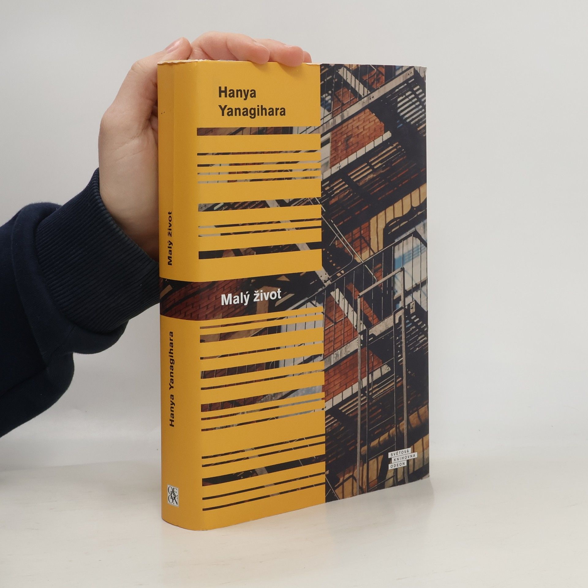 Hanya Yanagihara Malý život
