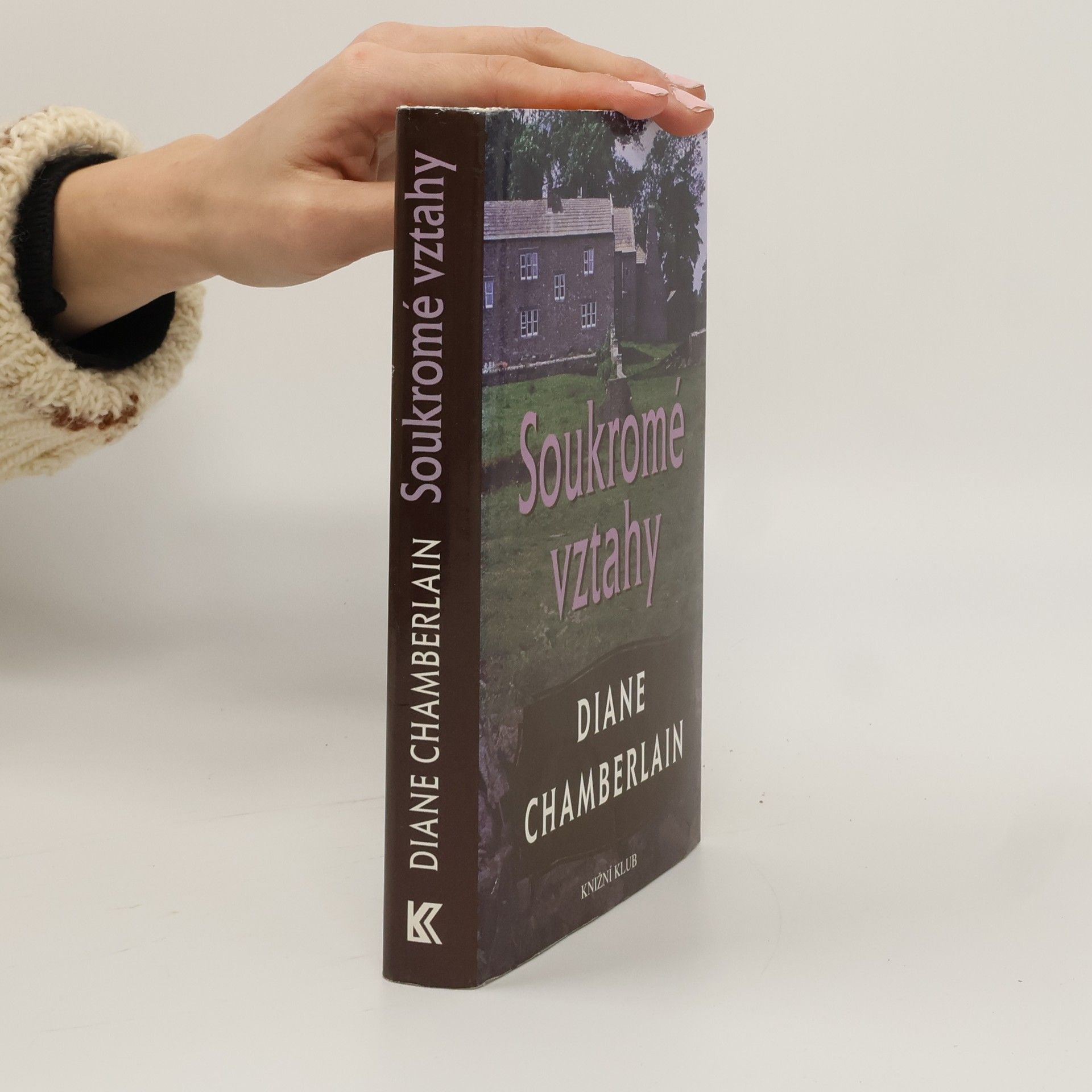 Diane Chamberlain Soukromé vztahy