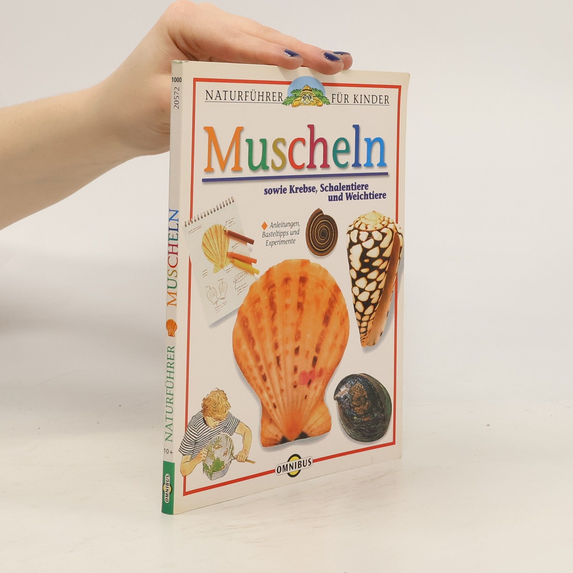 Collectif d'auteurs Muscheln sowie Krebse, Schalentiere und Weichtiere