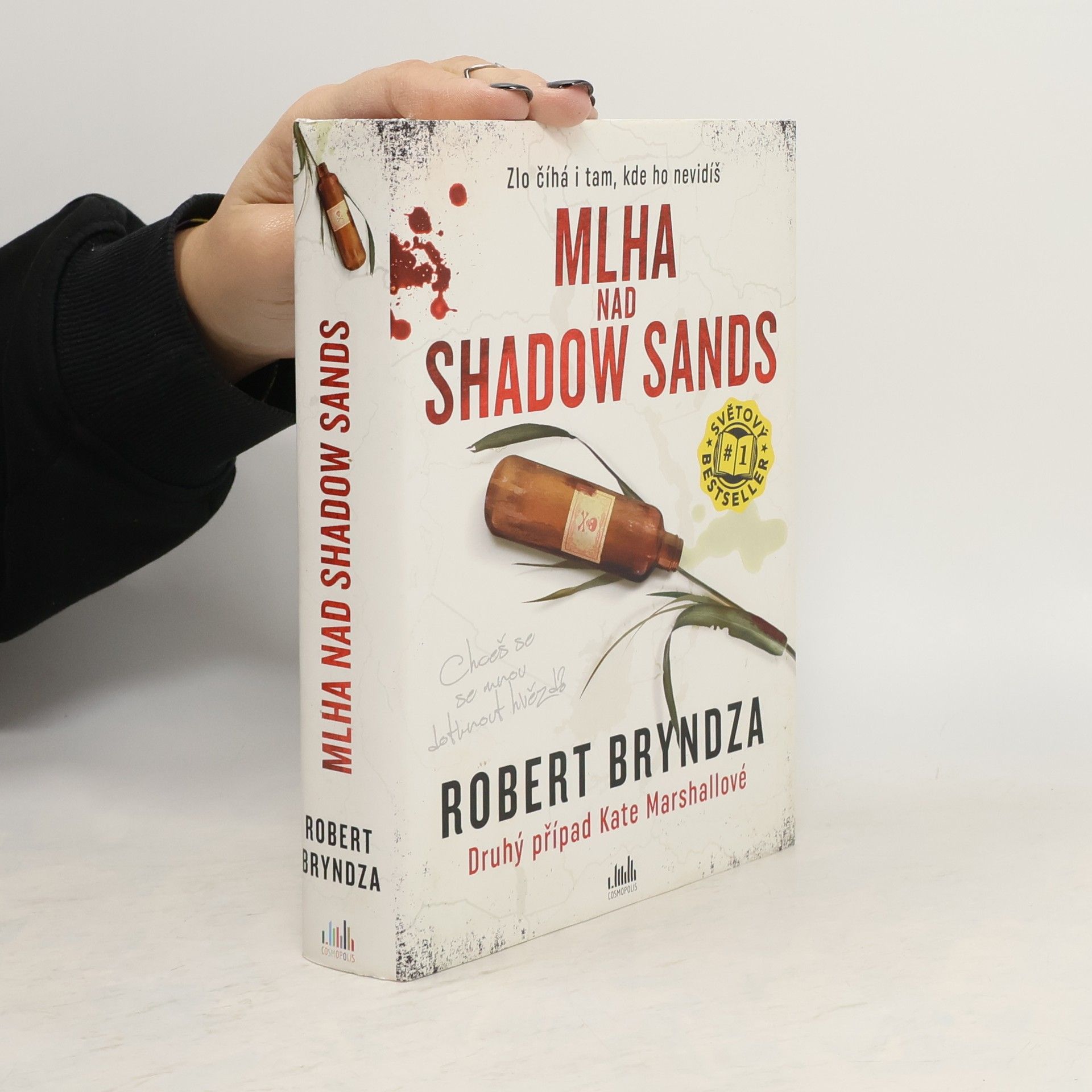 Robert Bryndza Mlha nad Shadow Sands