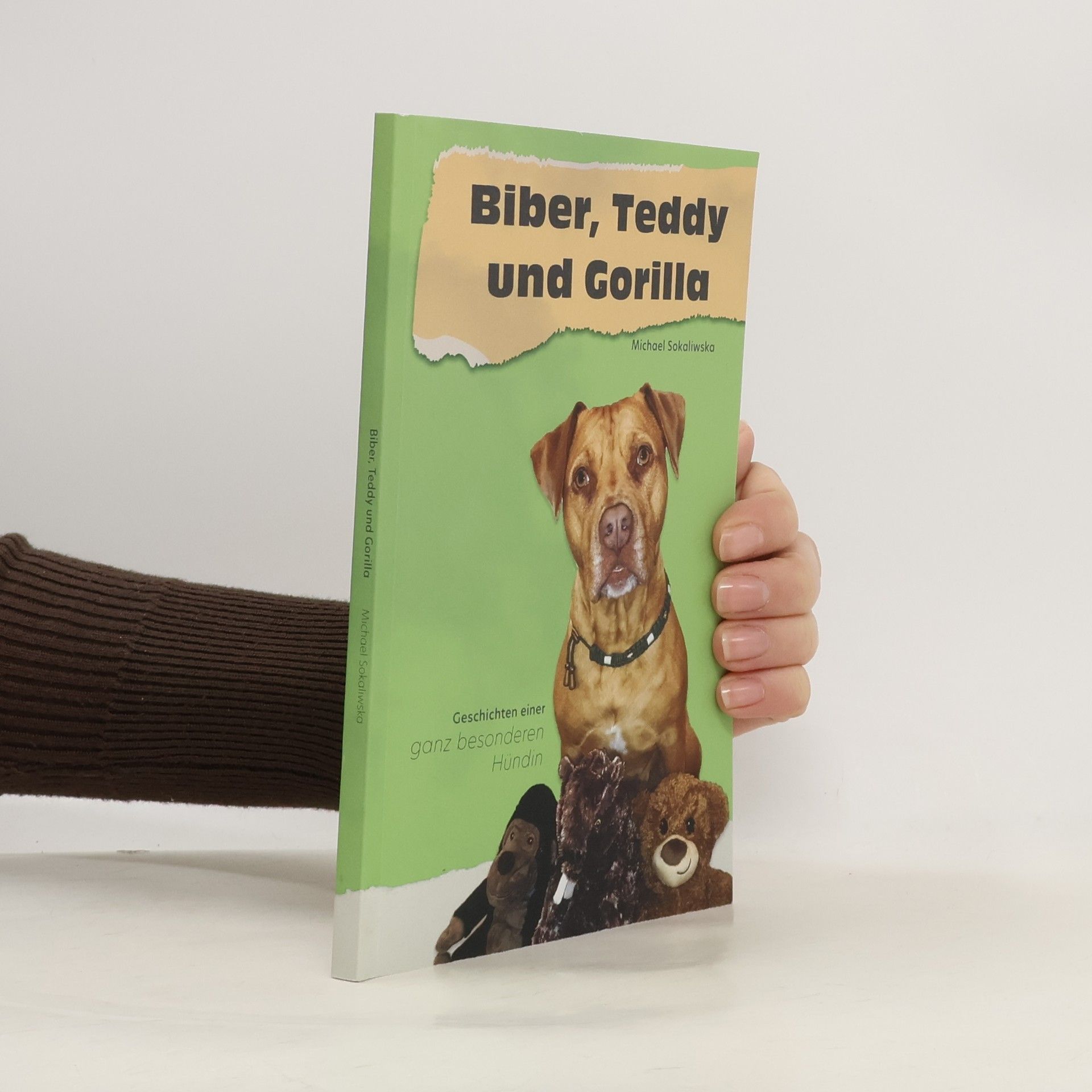 Michael Sokaliwska Biber, Teddy und Gorilla