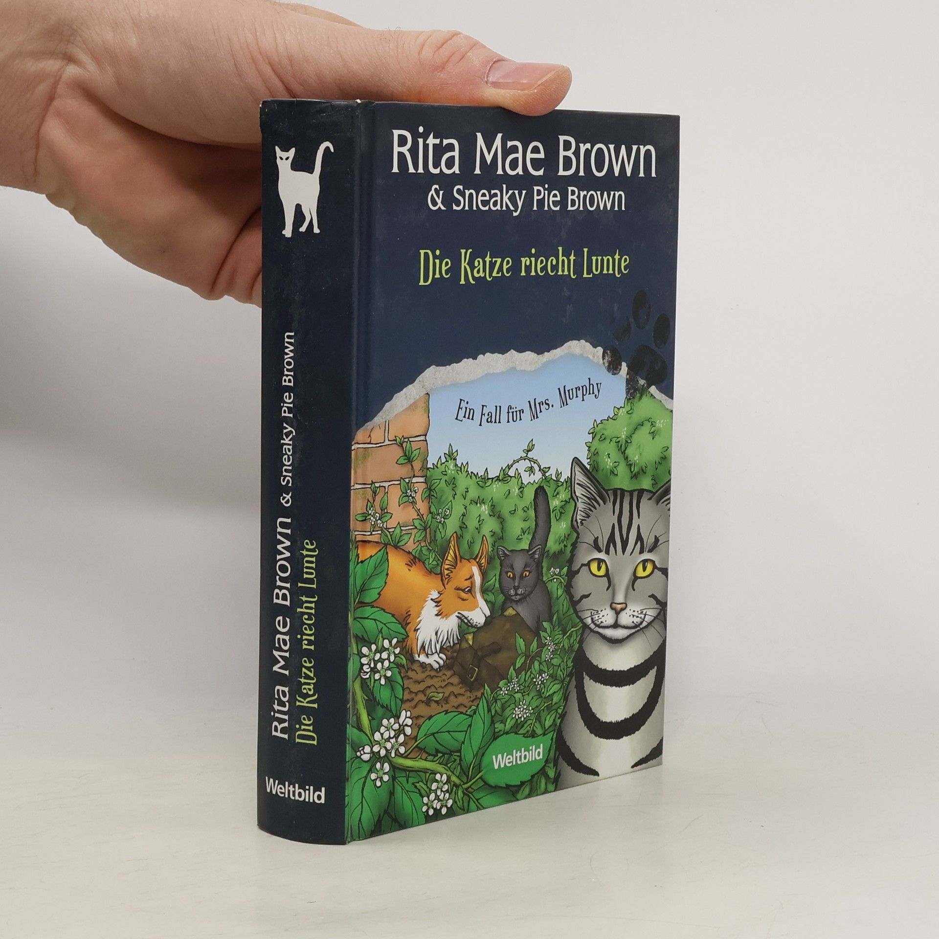 Die Katze riecht Lunte