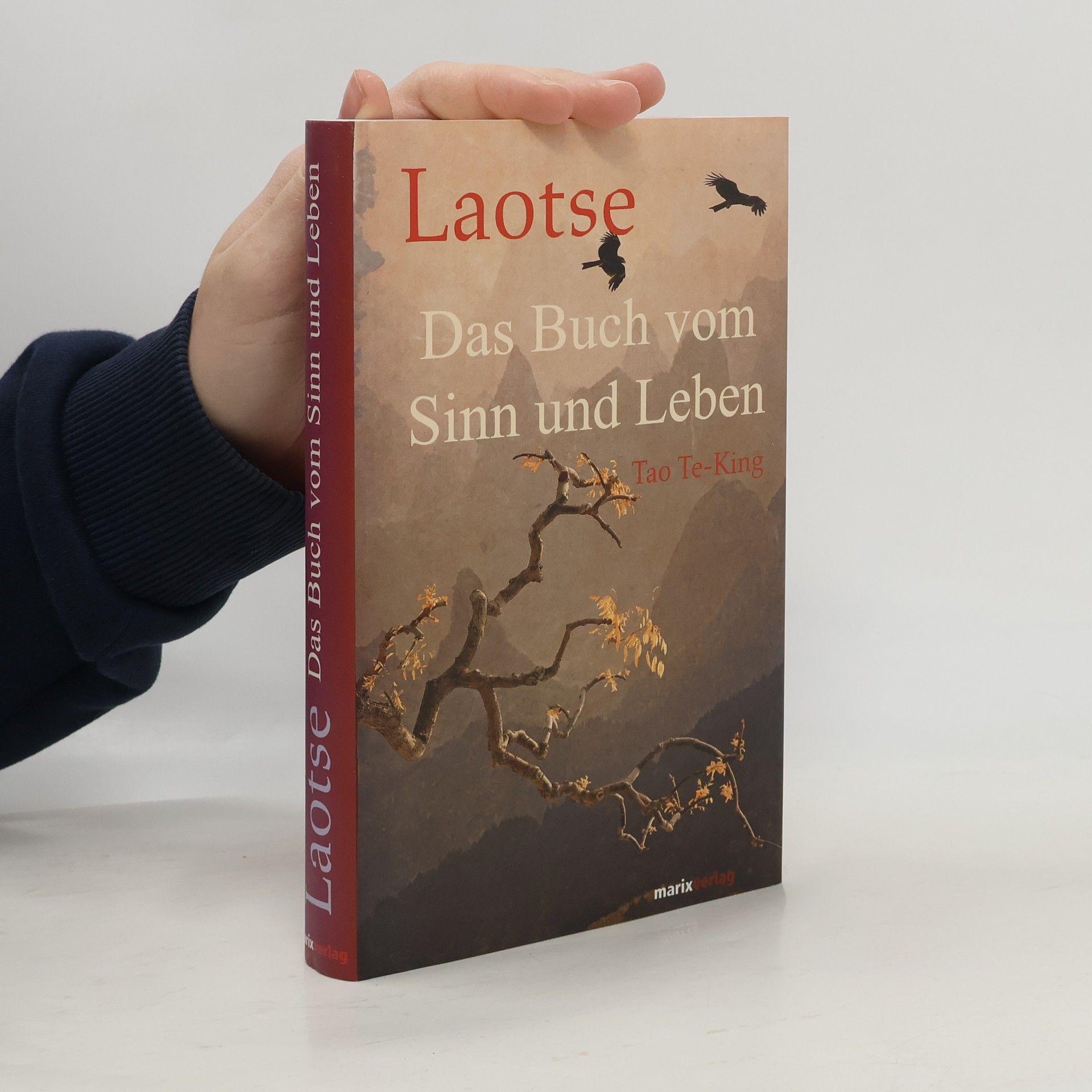 Das Buch vom Sinn und Leben