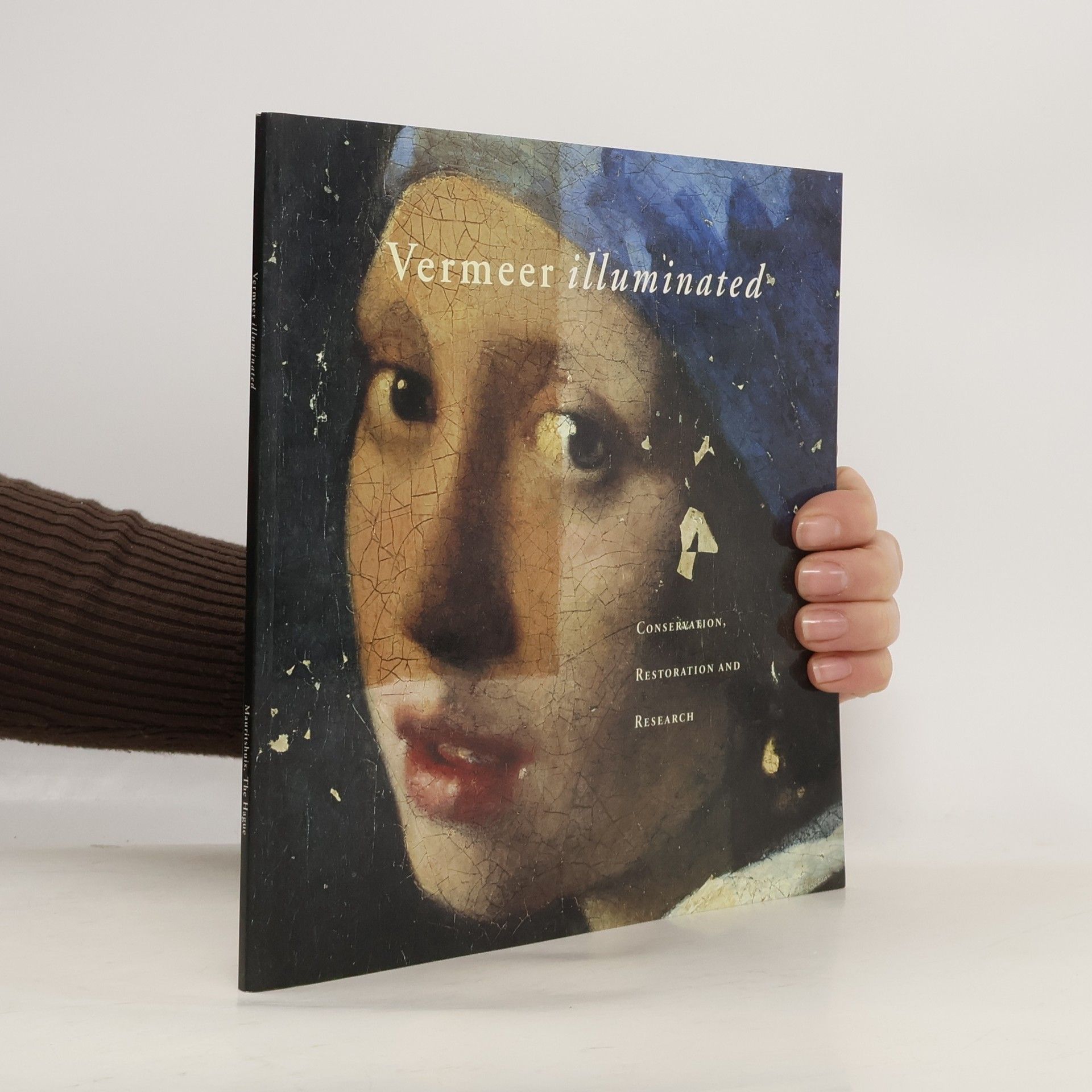 Jørgen Wadum Vermeer Illuminated