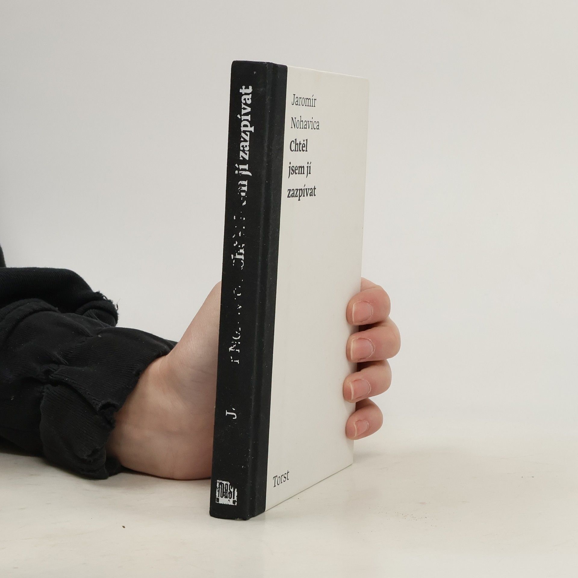 Jaromír Nohavica Chtěl jsem jí zazpívat: Výbor z písňových textů