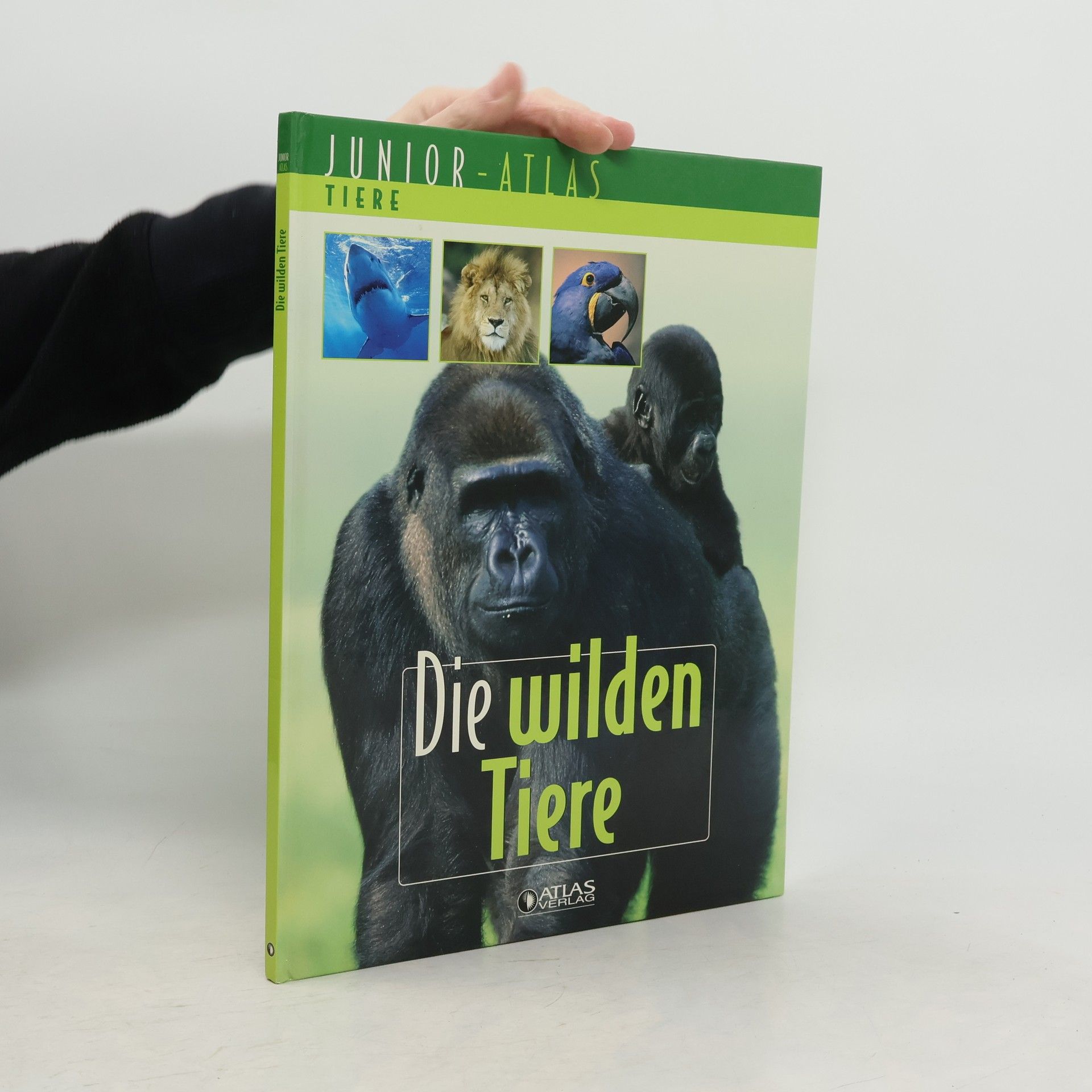 Autorenkollektiv Die wilden Tiere