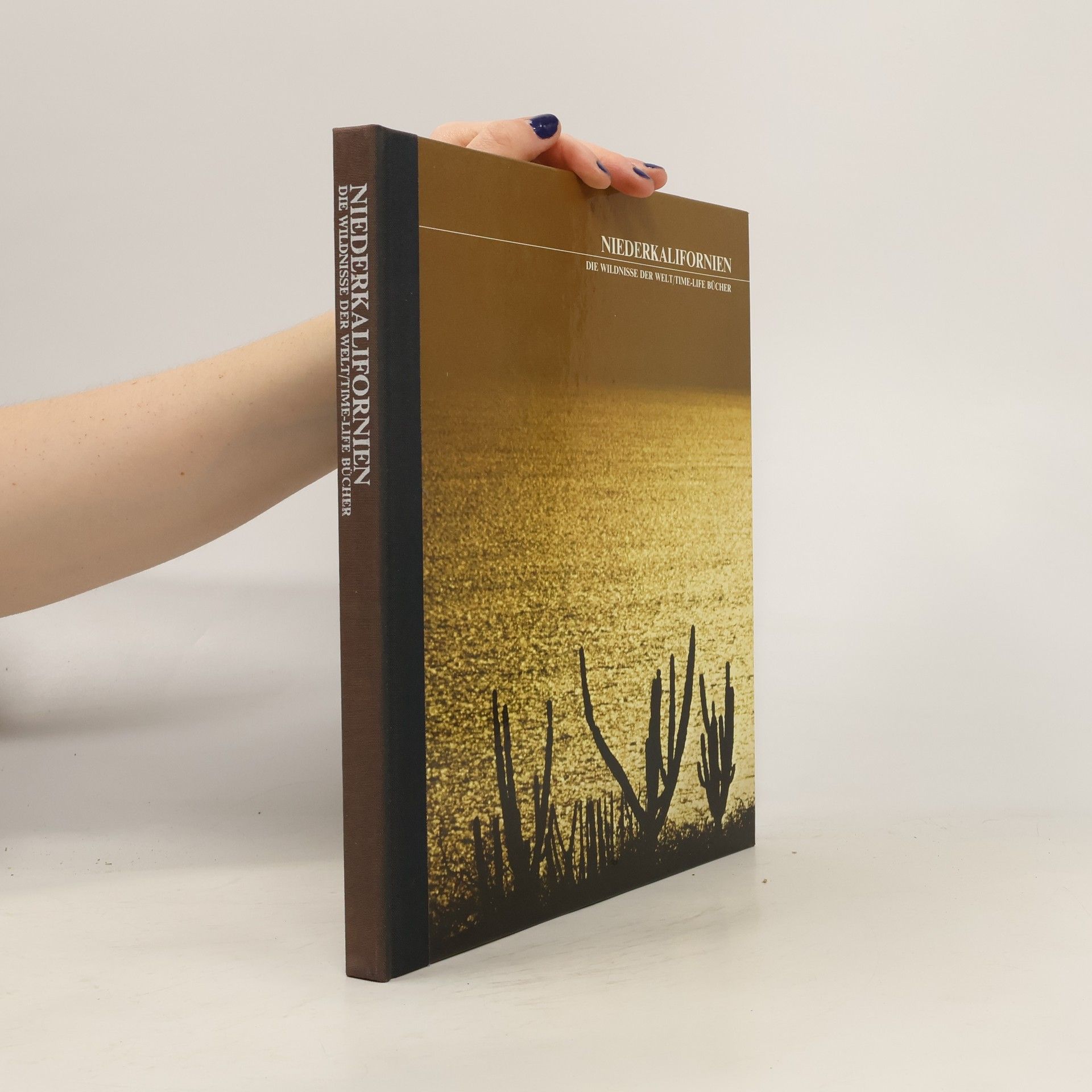 Collectif d'auteurs Niederkalifornien