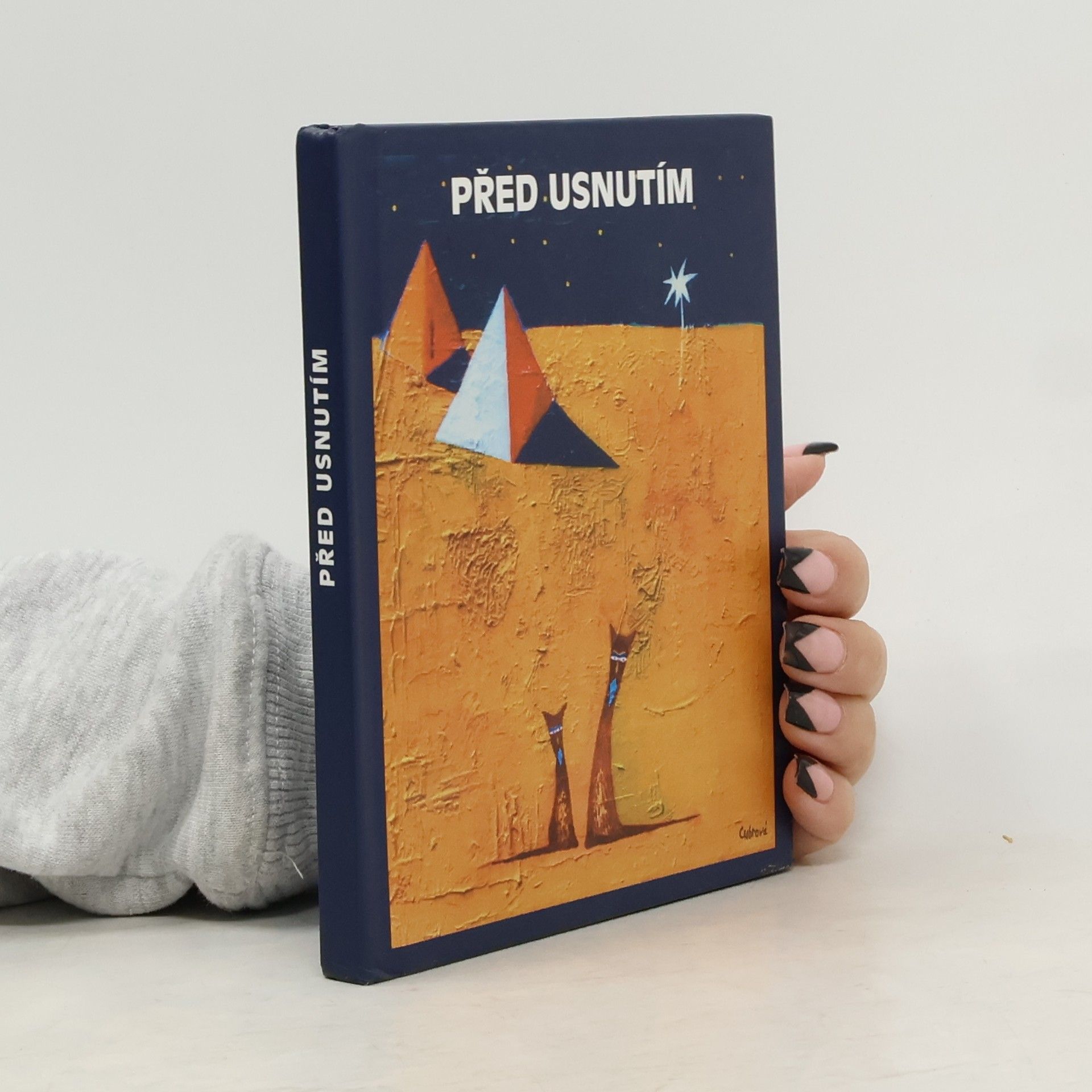 Collectif d'auteurs Před usnutím