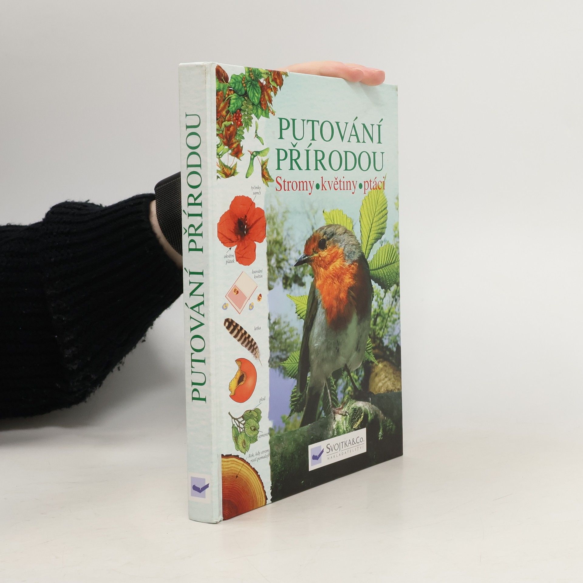 Kolektiv autorů Putování přírodou: Stromy, květiny, ptáci