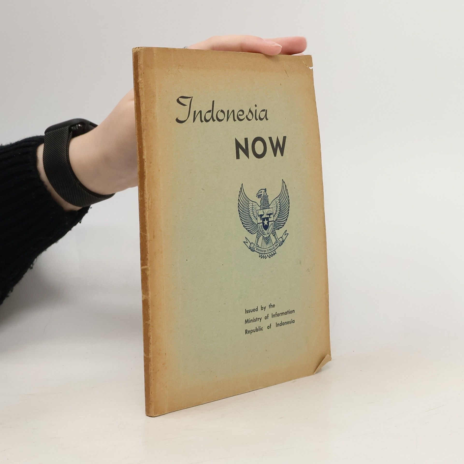 Various authors Indonesia Now